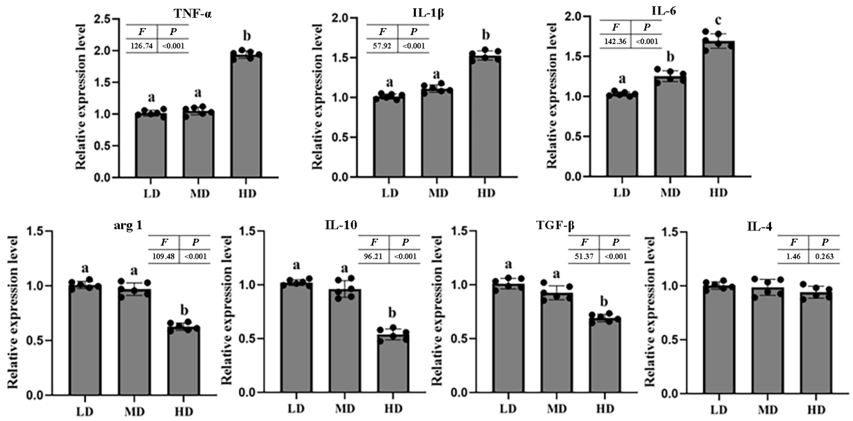 Antioxidants 15 01257 g004 Antioxidants 15 01257 g004