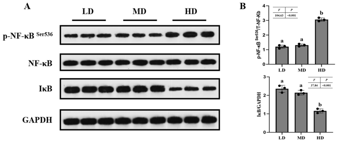 Antioxidants 15 01257 g005 Antioxidants 15 01257 g005
