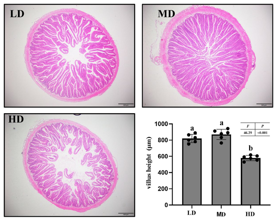Antioxidants 15 01257 g006 Antioxidants 15 01257 g006