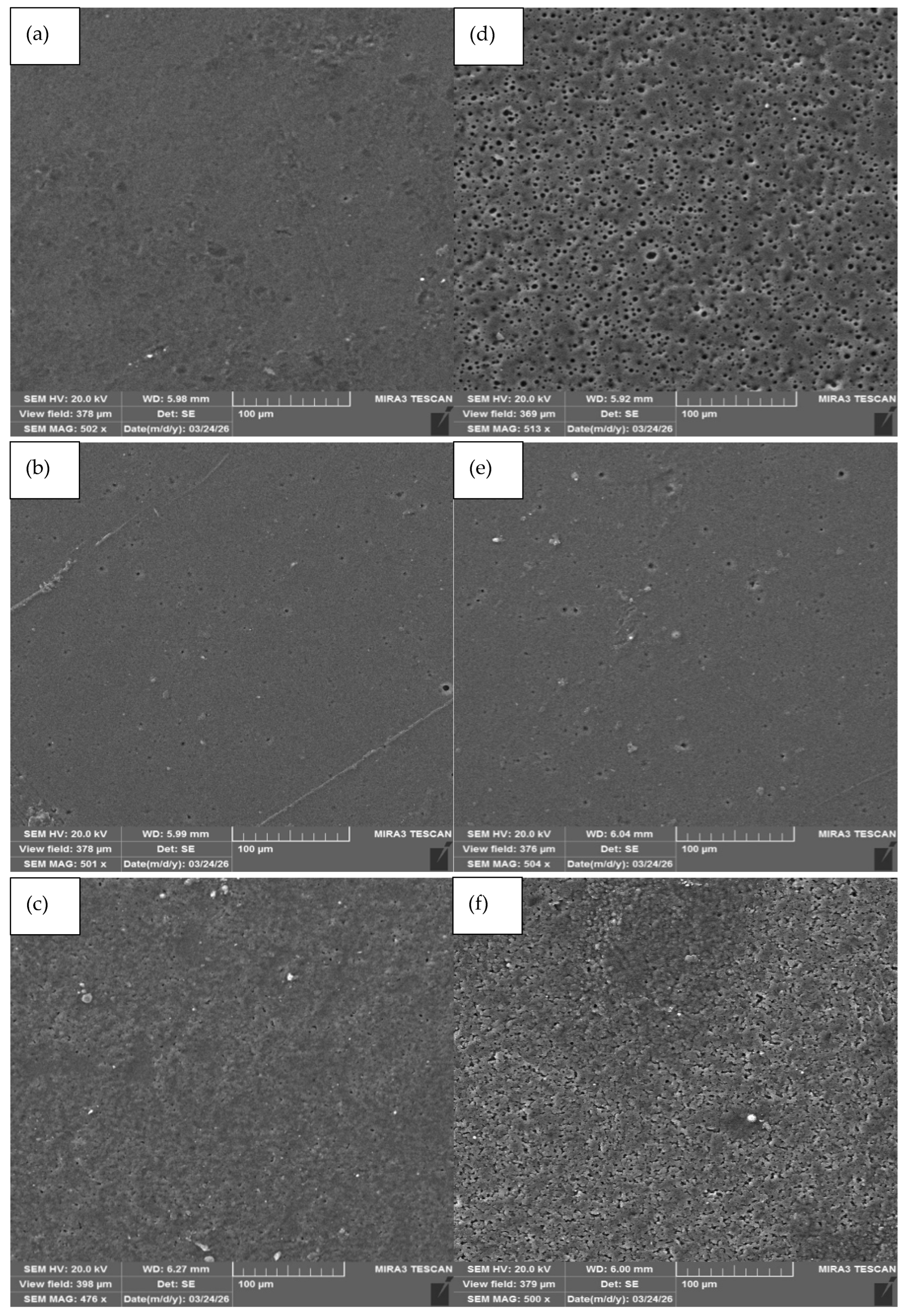Antioxidants 15 01265 g004 Antioxidants 15 01265 g004