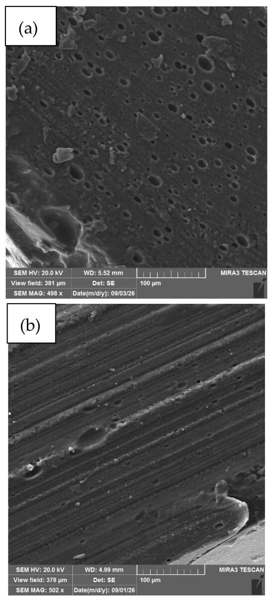 Antioxidants 15 01265 g005a Antioxidants 15 01265 g005a