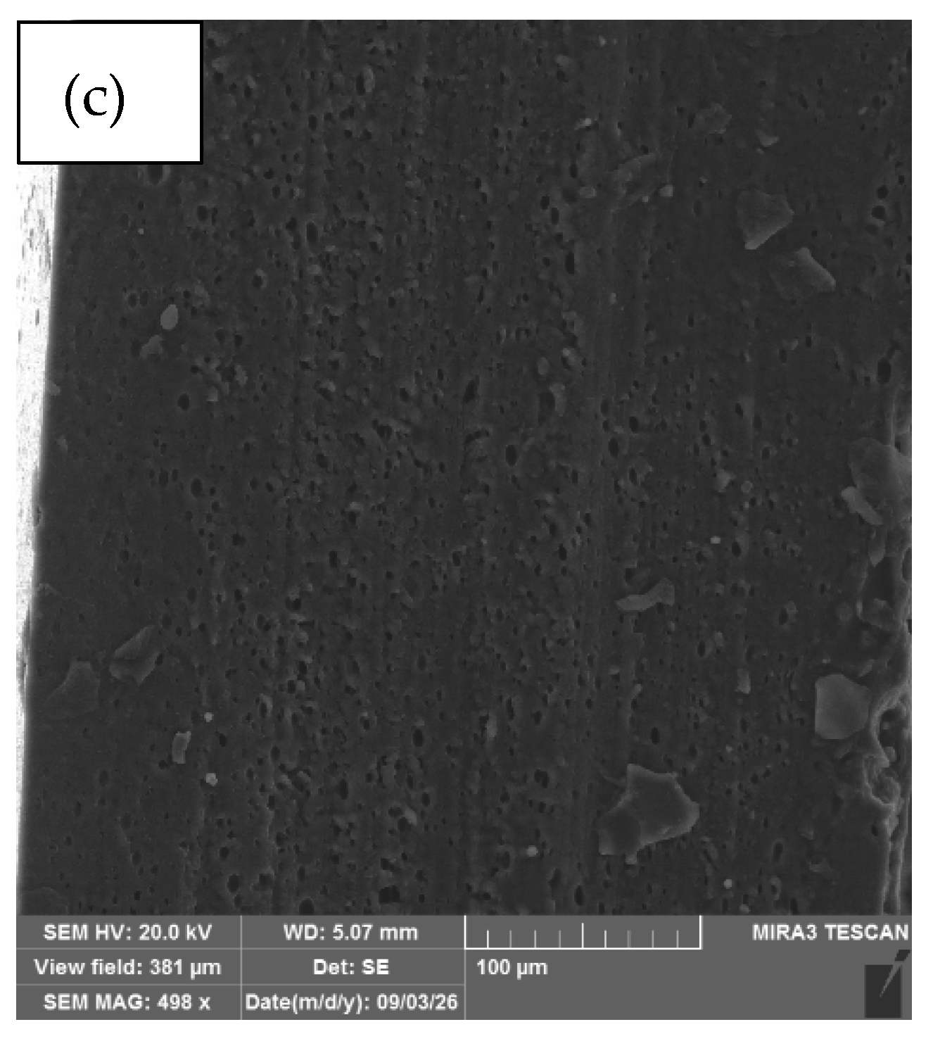 Antioxidants 15 01265 g005b Antioxidants 15 01265 g005b
