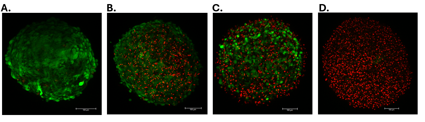 Antioxidants 15 01311 g004 Antioxidants 15 01311 g004