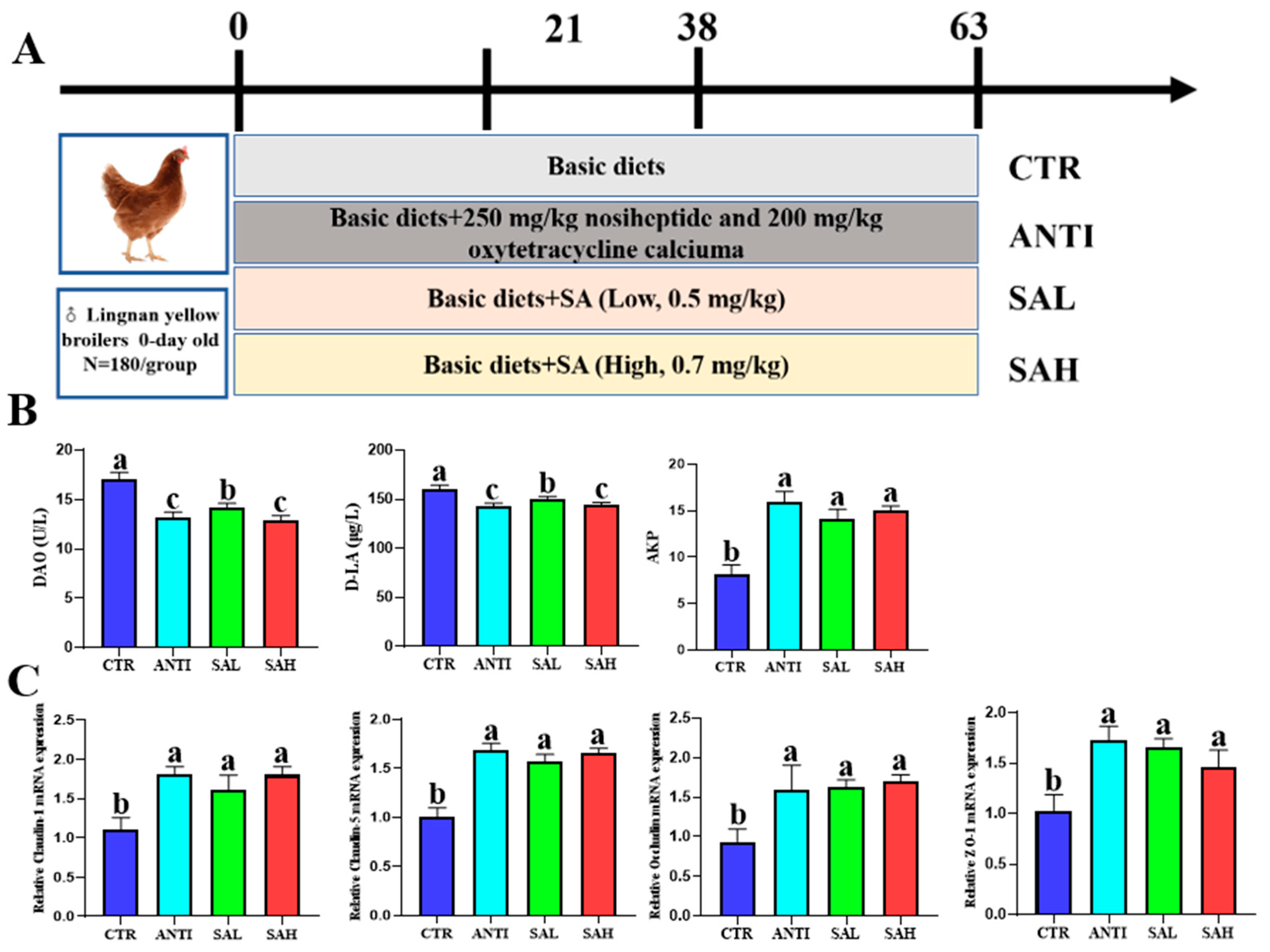 Antioxidants 15 01317 g001 Antioxidants 15 01317 g001