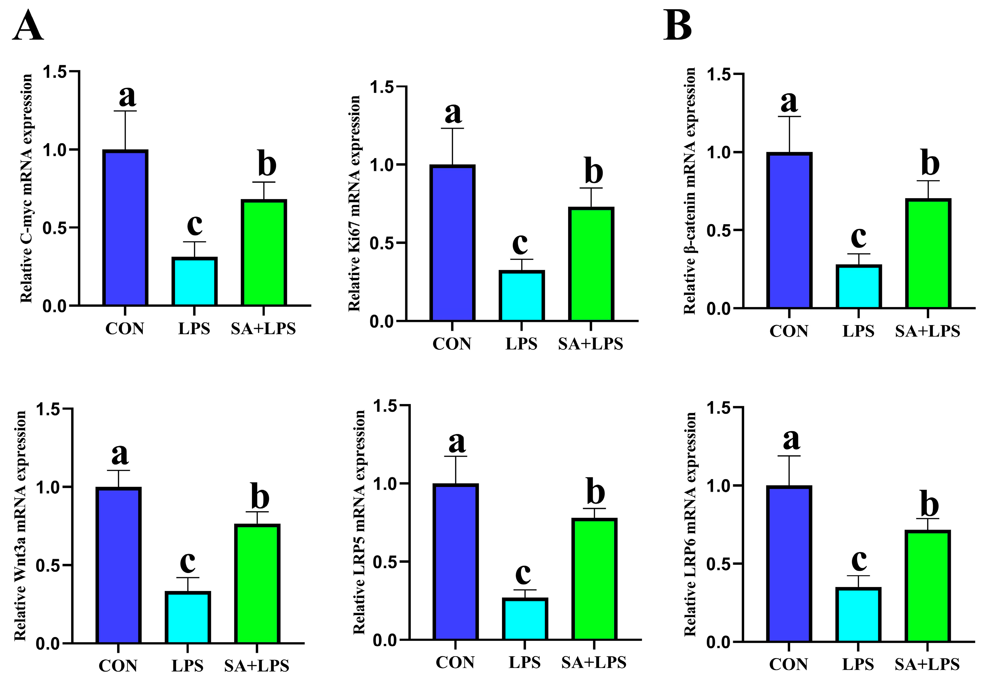 Antioxidants 15 01317 g009 Antioxidants 15 01317 g009
