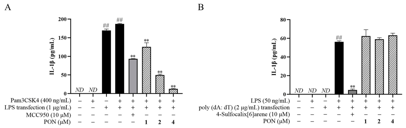 Antioxidants 15 01325 g003 Antioxidants 15 01325 g003