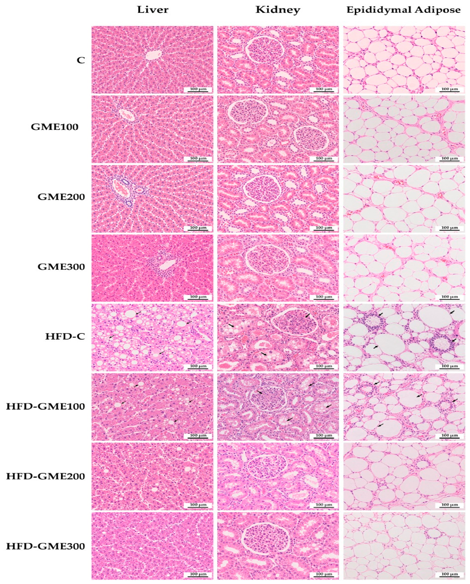 Antioxidants 15 01376 g003 Antioxidants 15 01376 g003