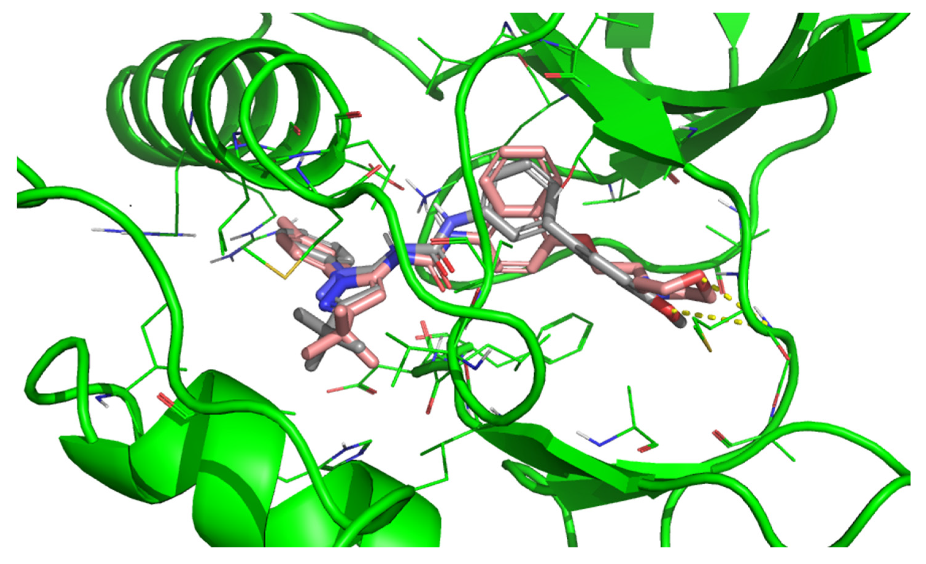 Applbiosci 01 00004 g002