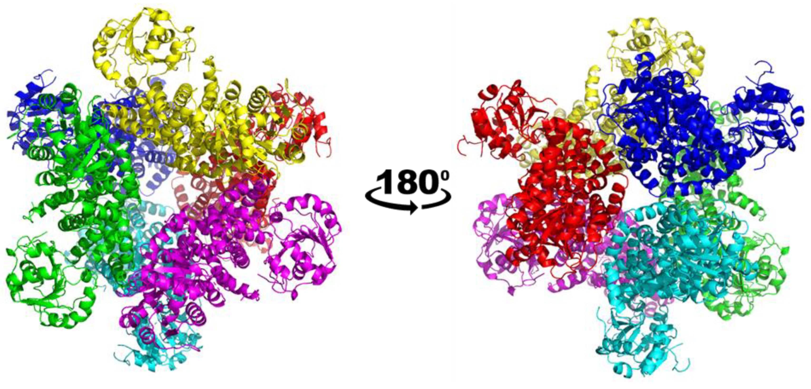 Applbiosci 01 00011 g002