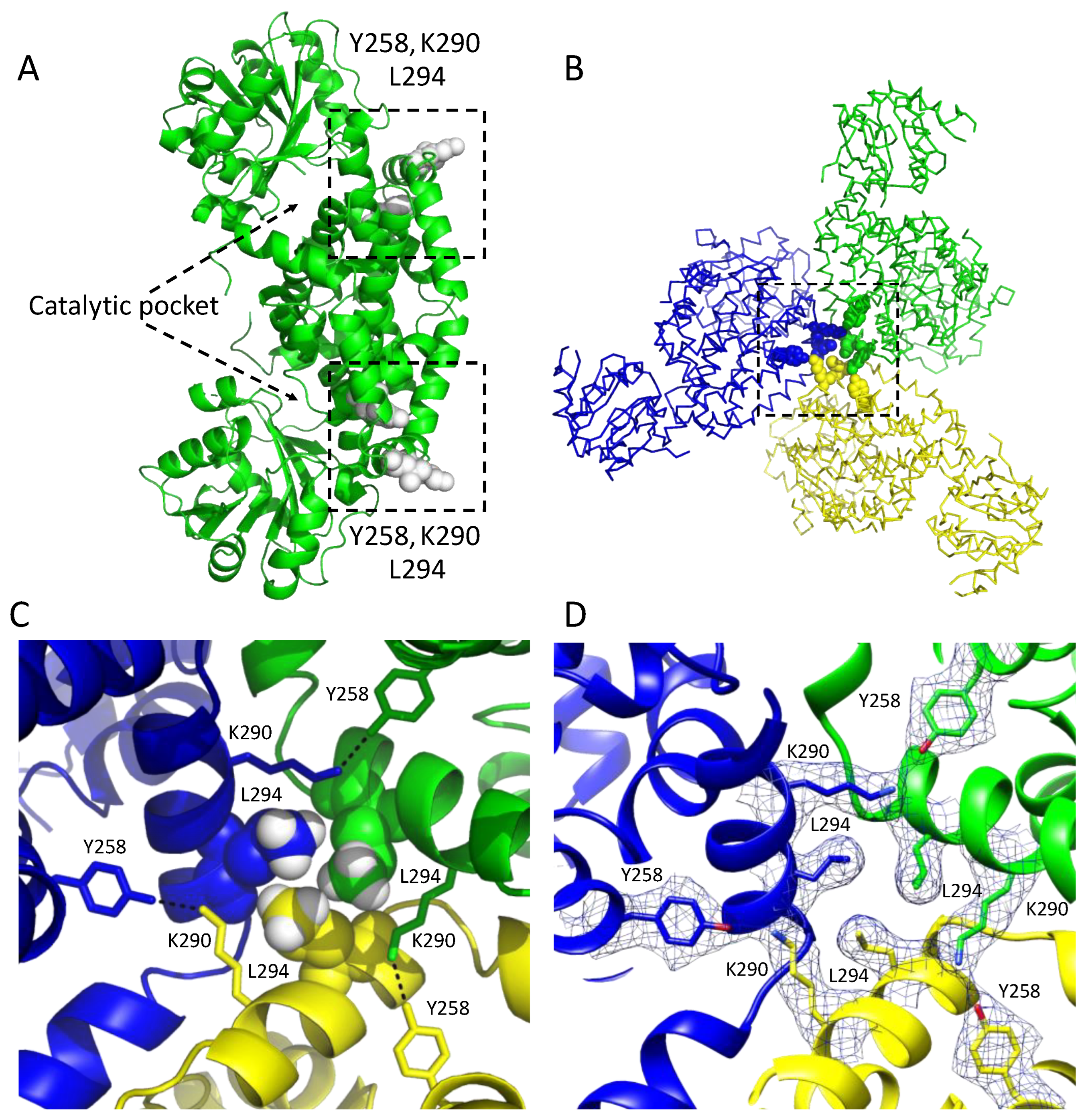 Applbiosci 01 00011 g003