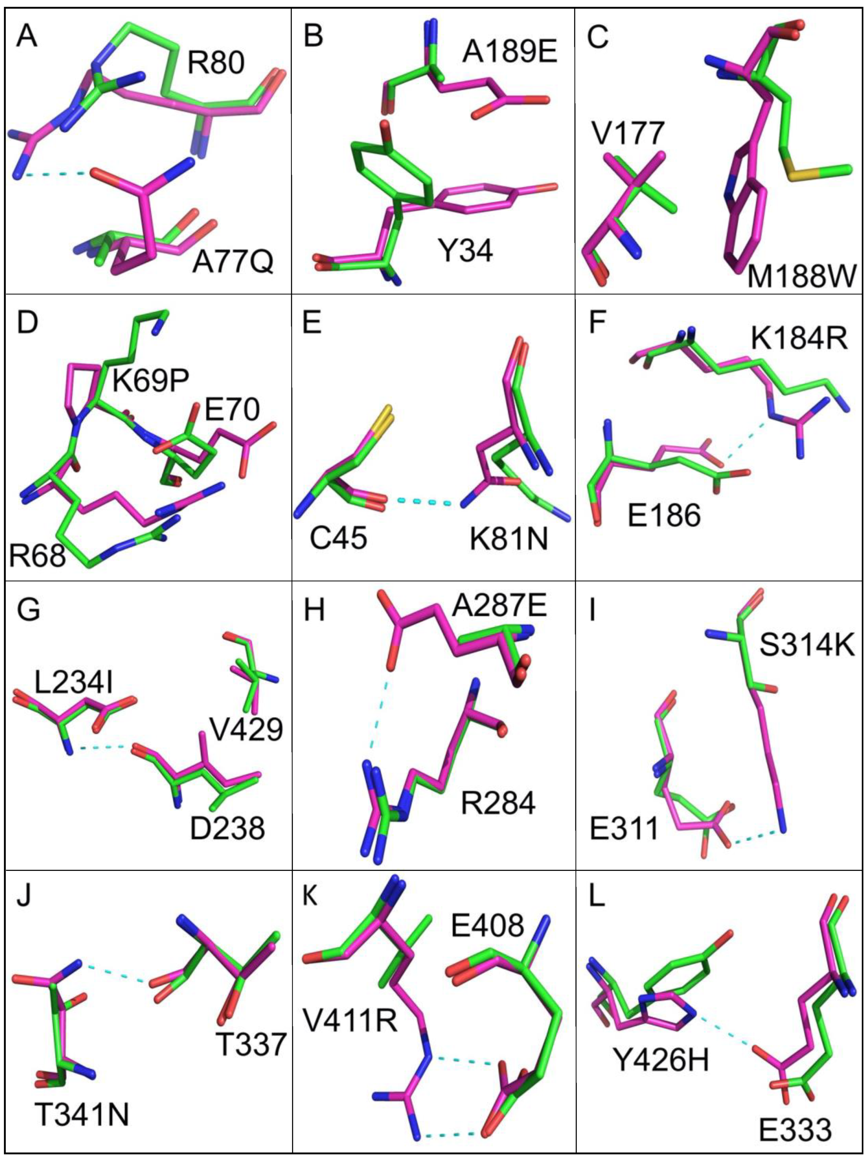 Applbiosci 01 00011 g006