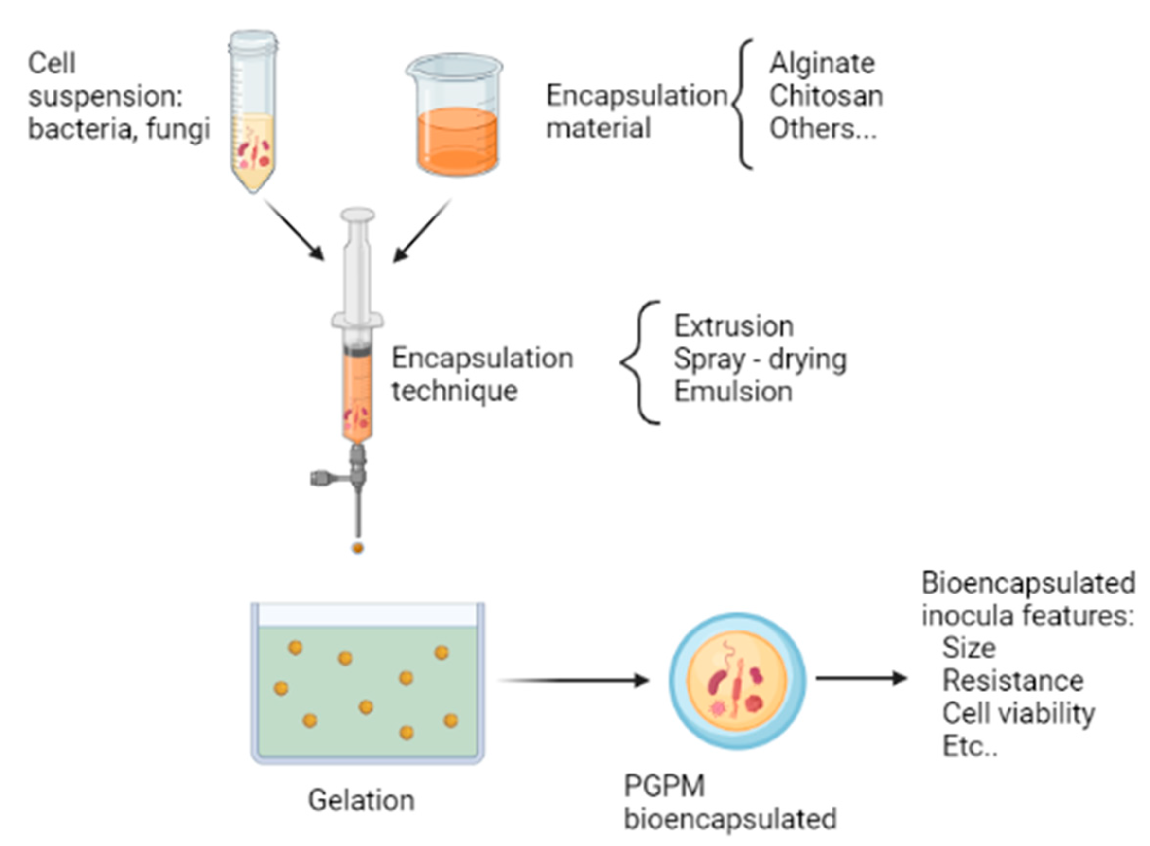 Applbiosci 01 00013 g002