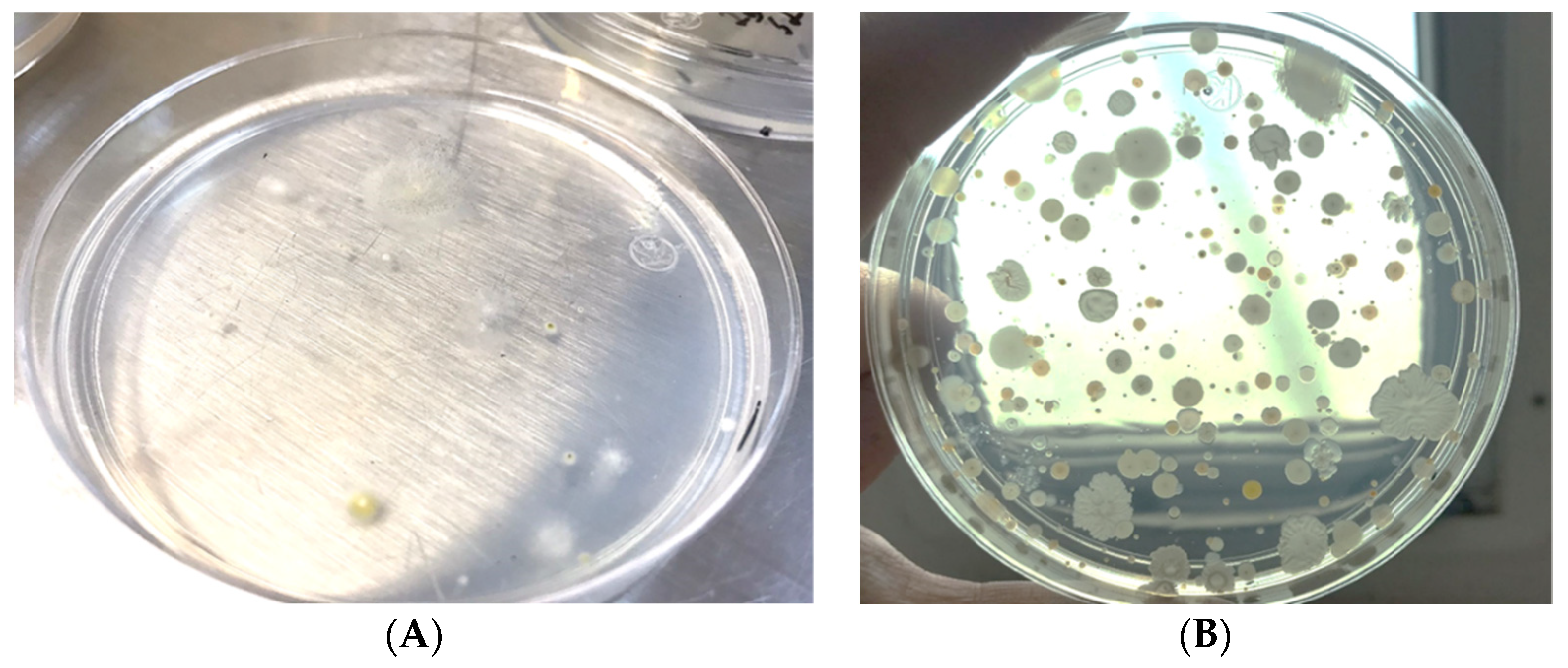 Applbiosci 01 00019 g010