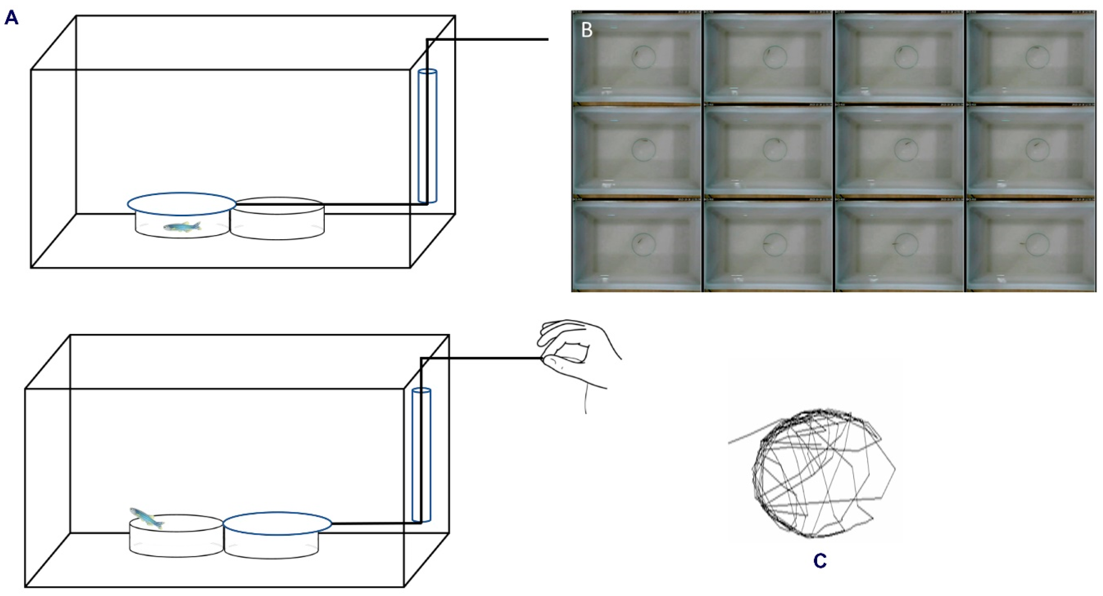 Applbiosci 01 00020 g001