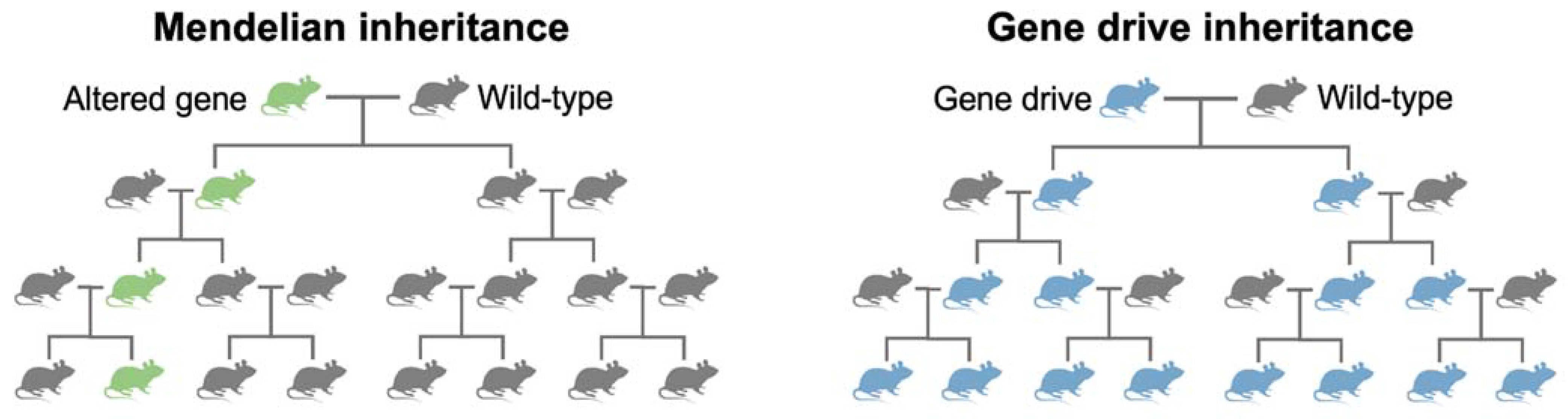 Applbiosci 02 00006 g002