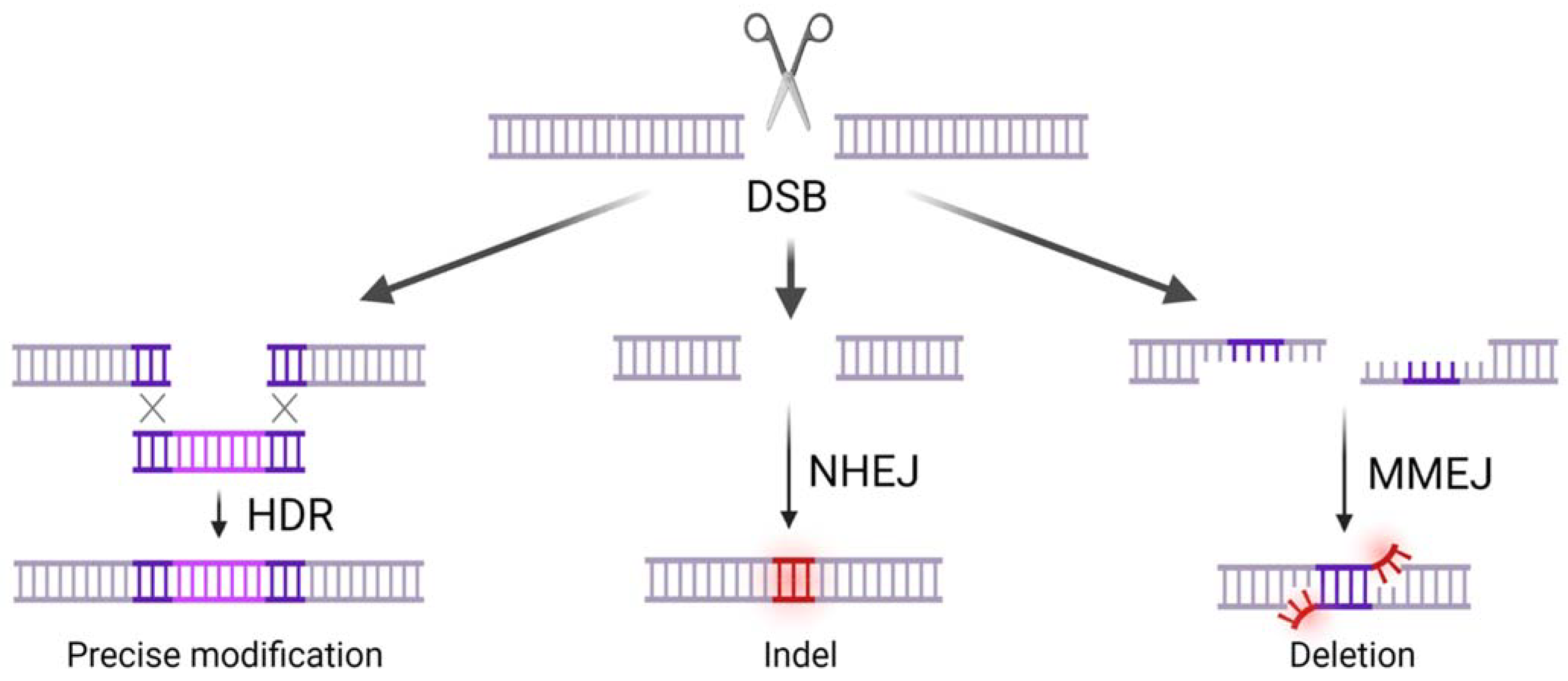 Applbiosci 02 00006 g003