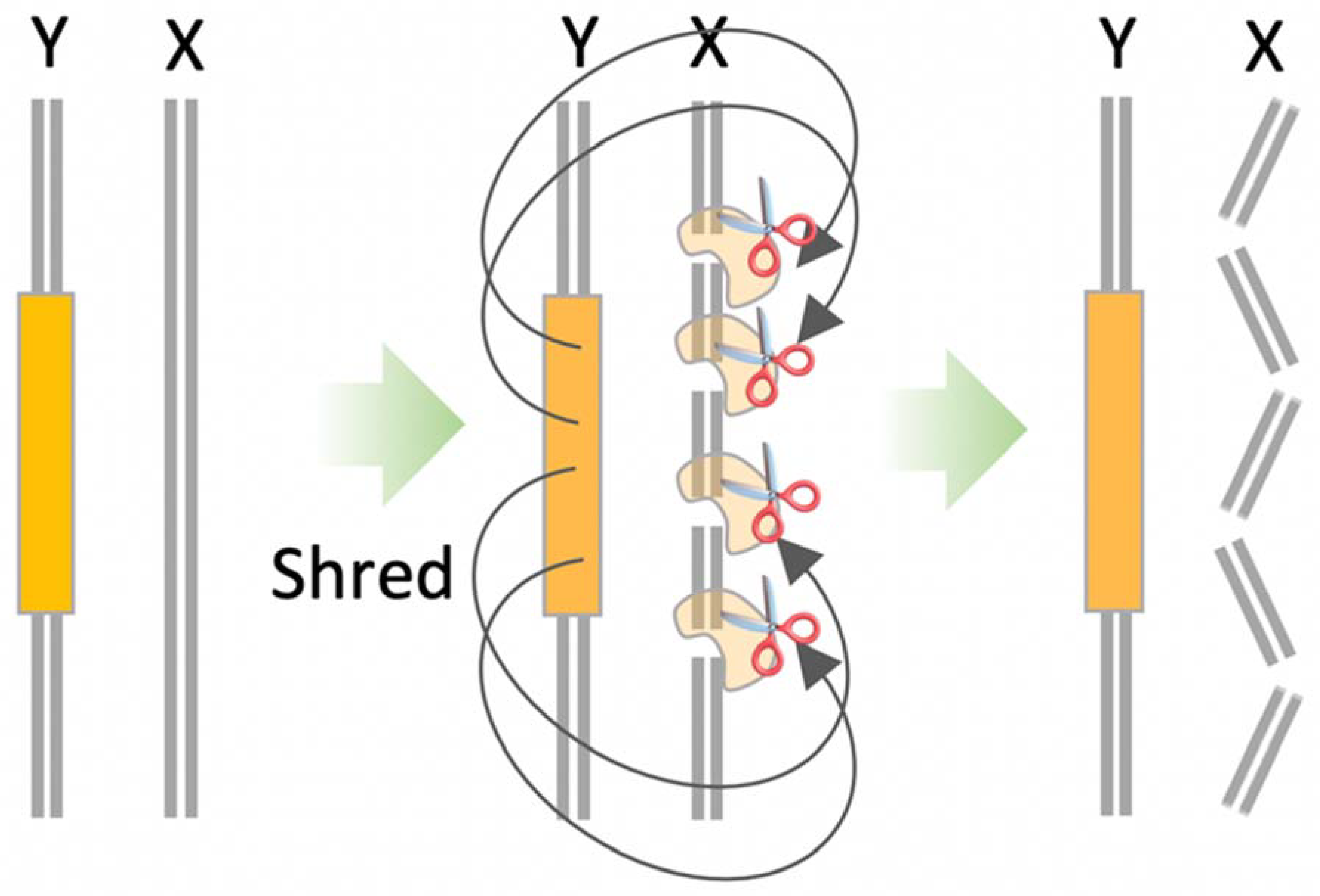 Applbiosci 02 00006 g005
