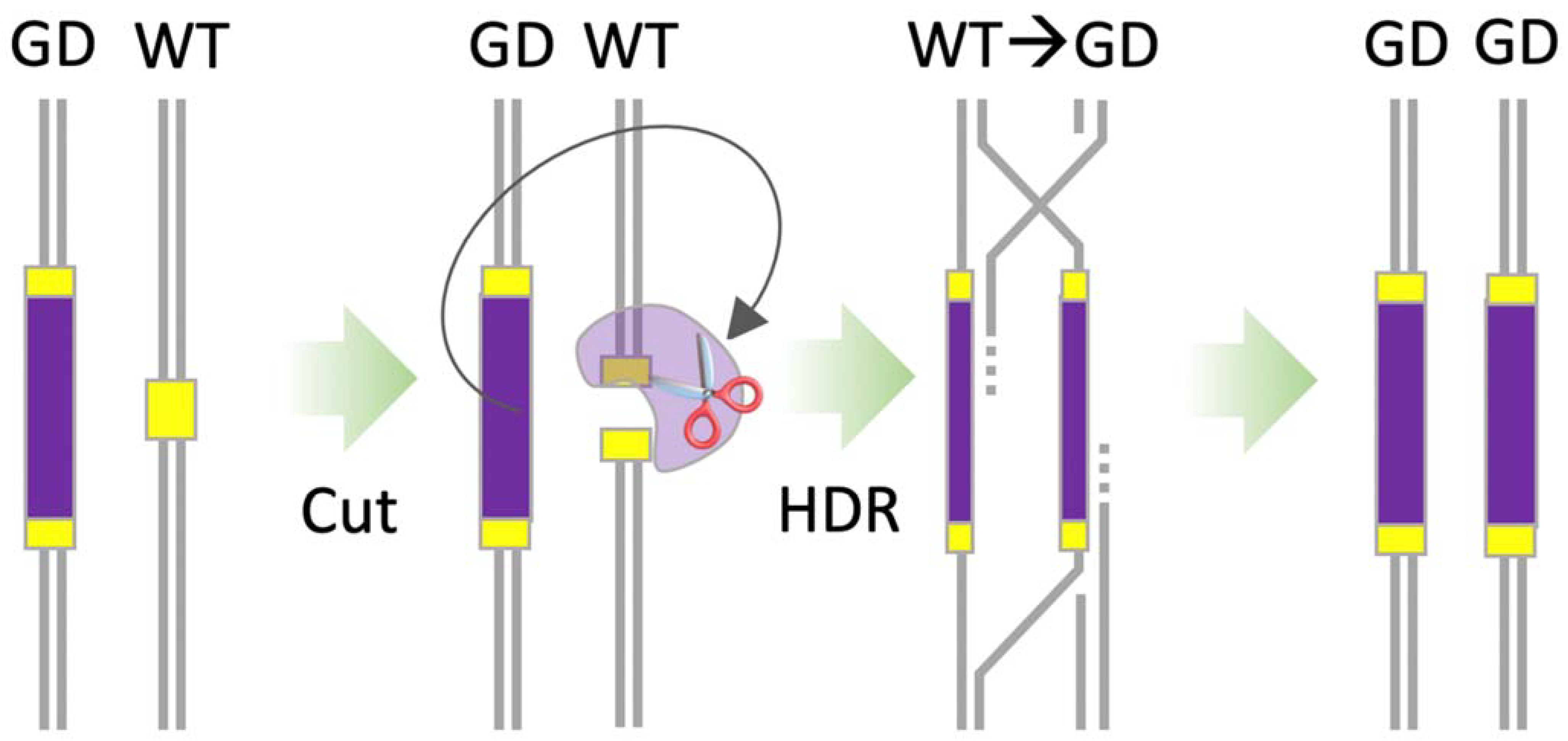 Applbiosci 02 00006 g006