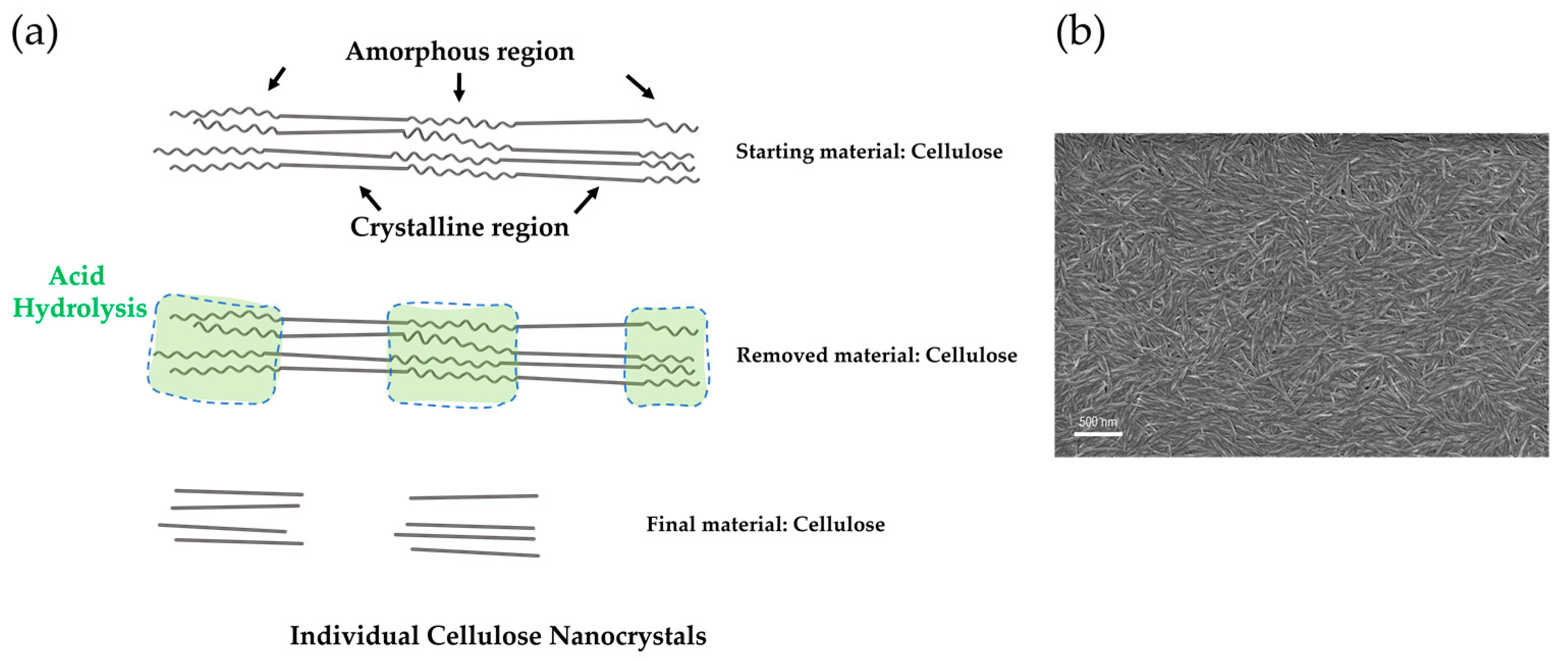 Applbiosci 02 00009 g003