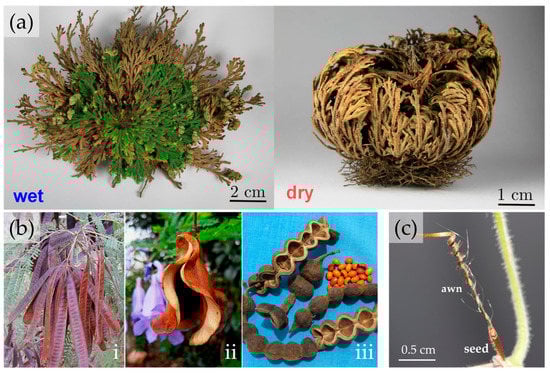 Applbiosci 02 00009 g004