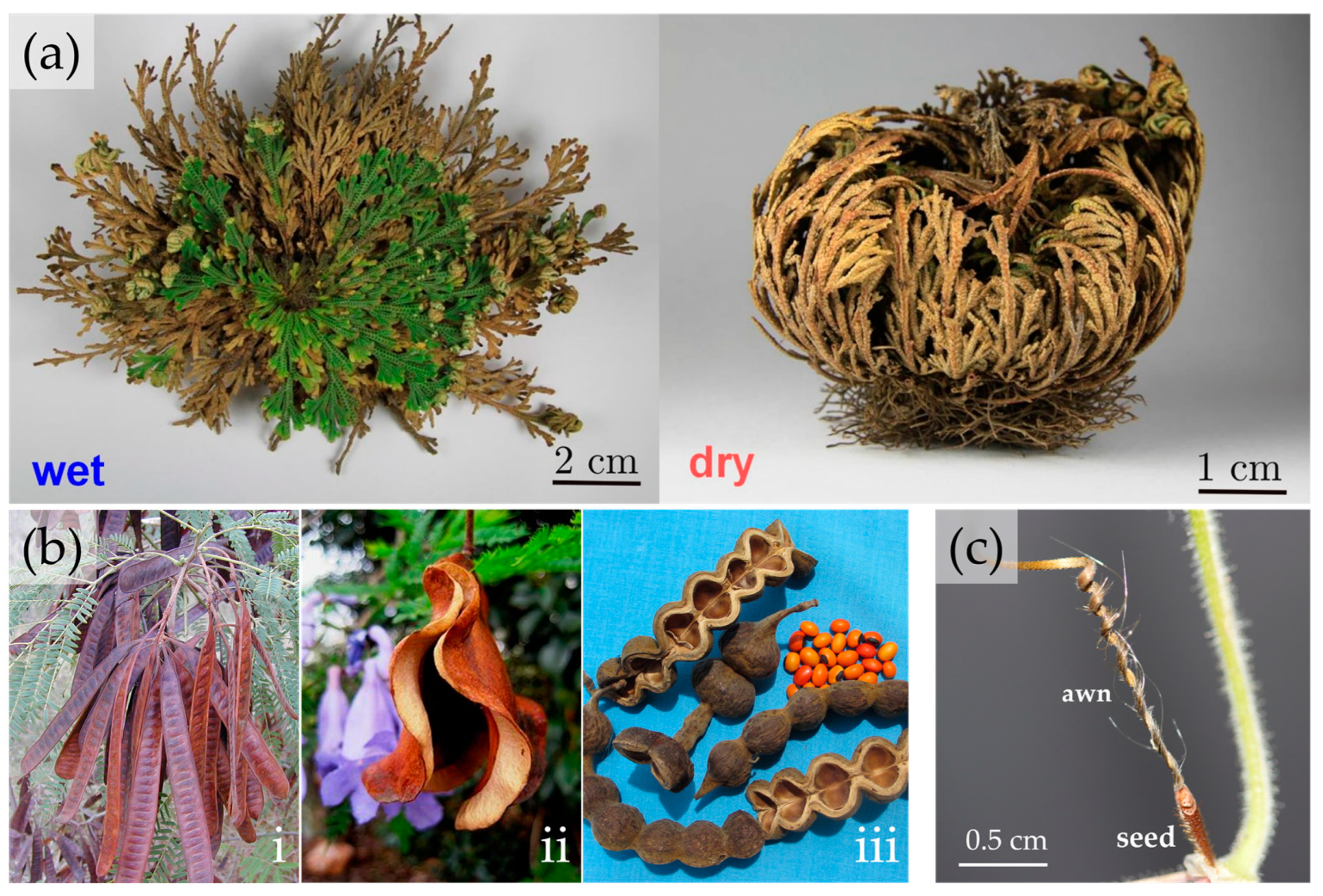 Applbiosci 02 00009 g004