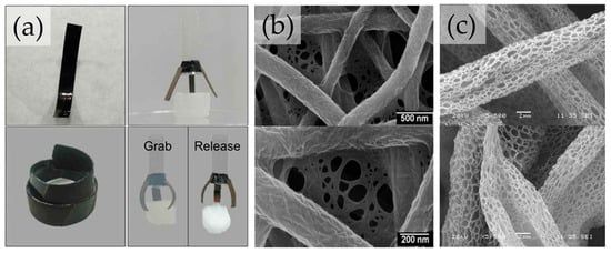 Applbiosci 02 00009 g005