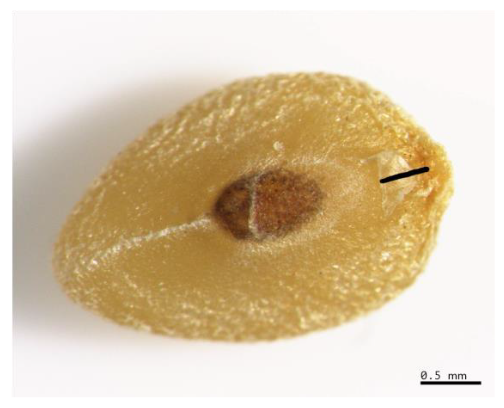 Applbiosci 02 00016 g002