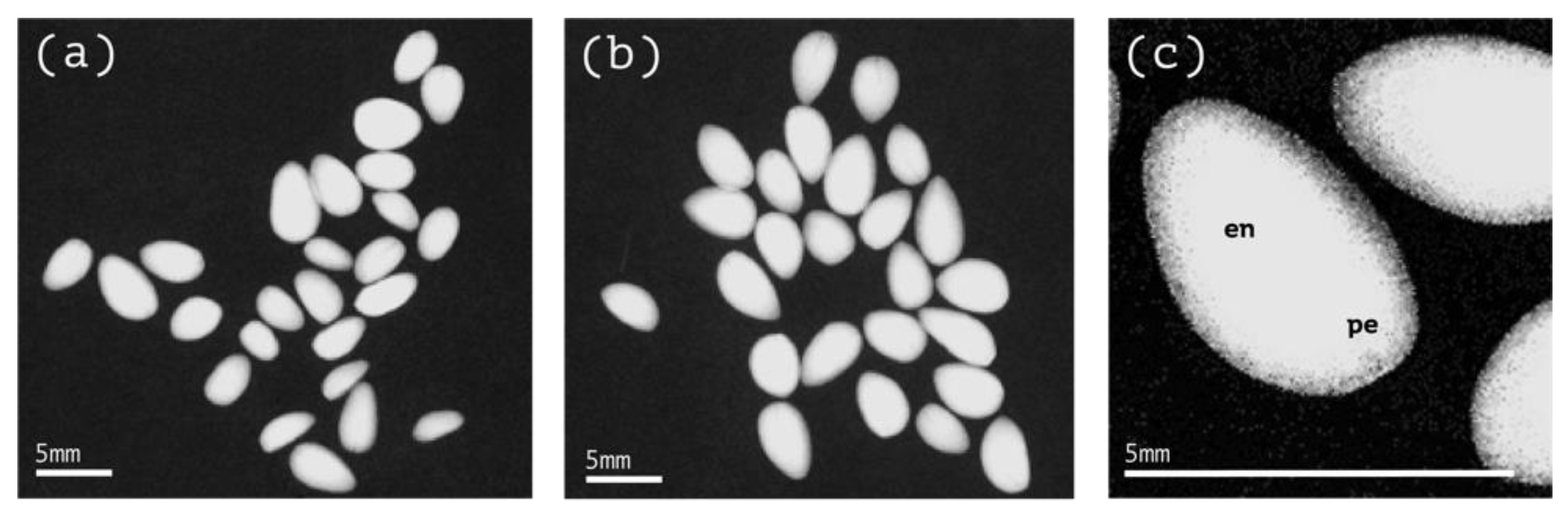 Applbiosci 02 00016 g003