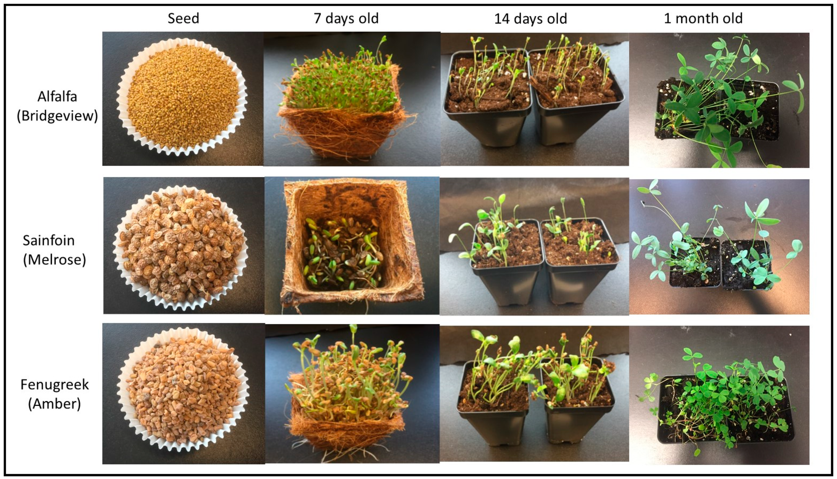 Applbiosci 02 00030 g001
