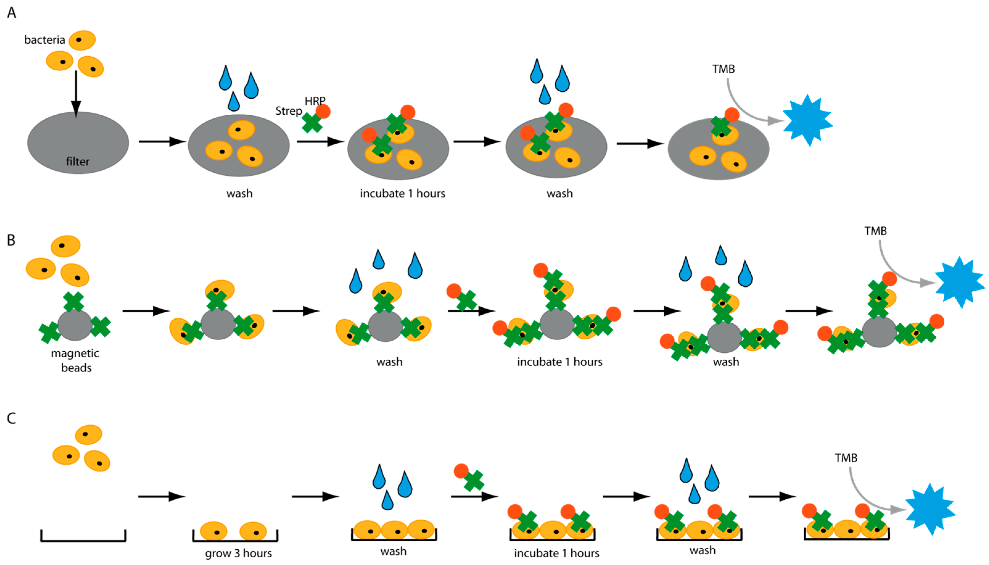 Applbiosci 02 00032 g001