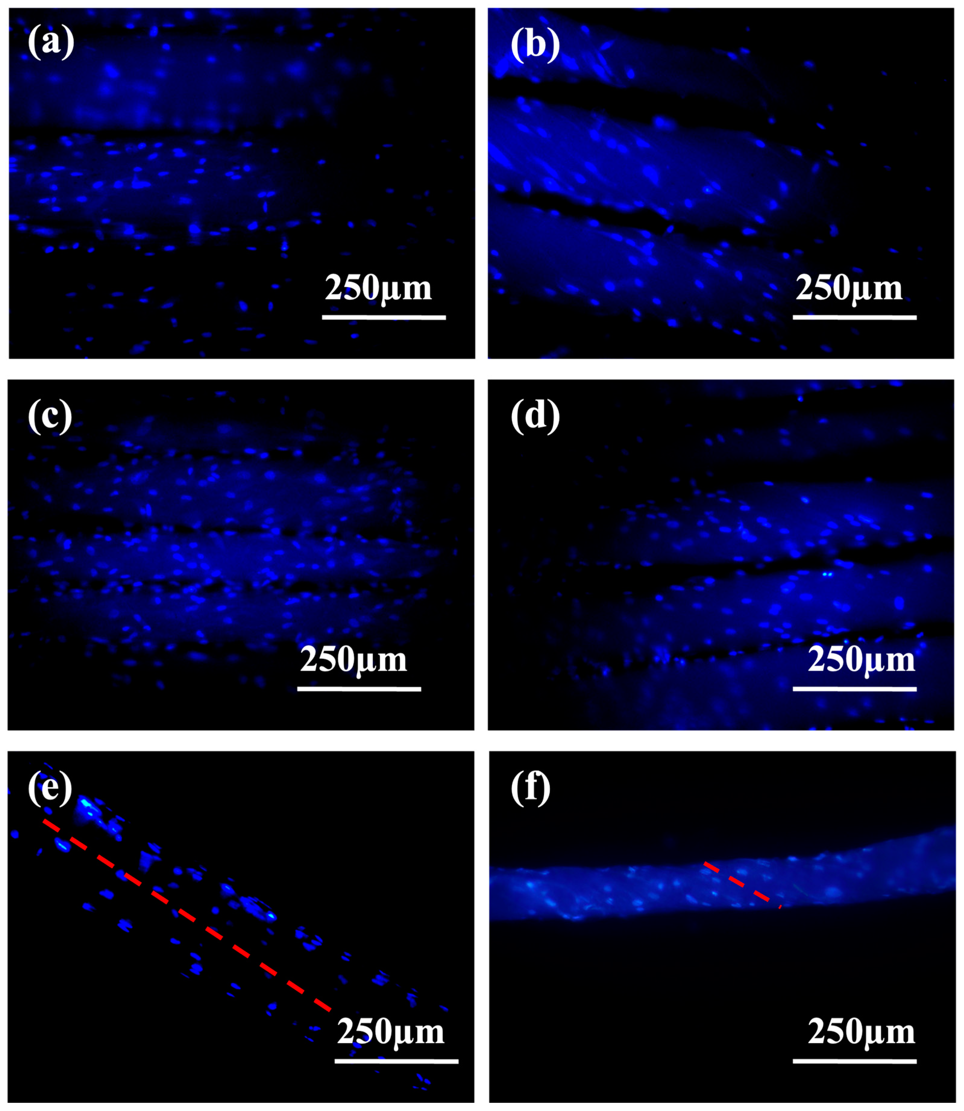 Applbiosci 02 00033 g005
