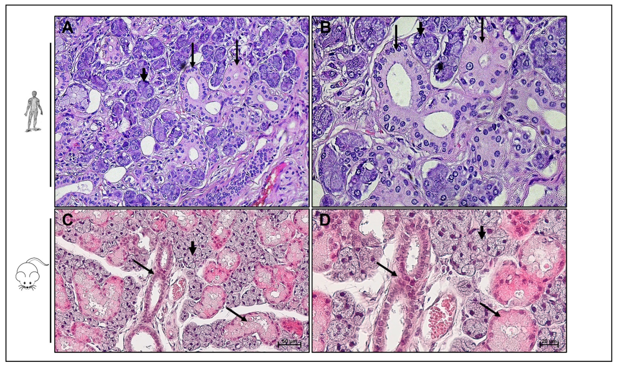 Applbiosci 02 00038 g001