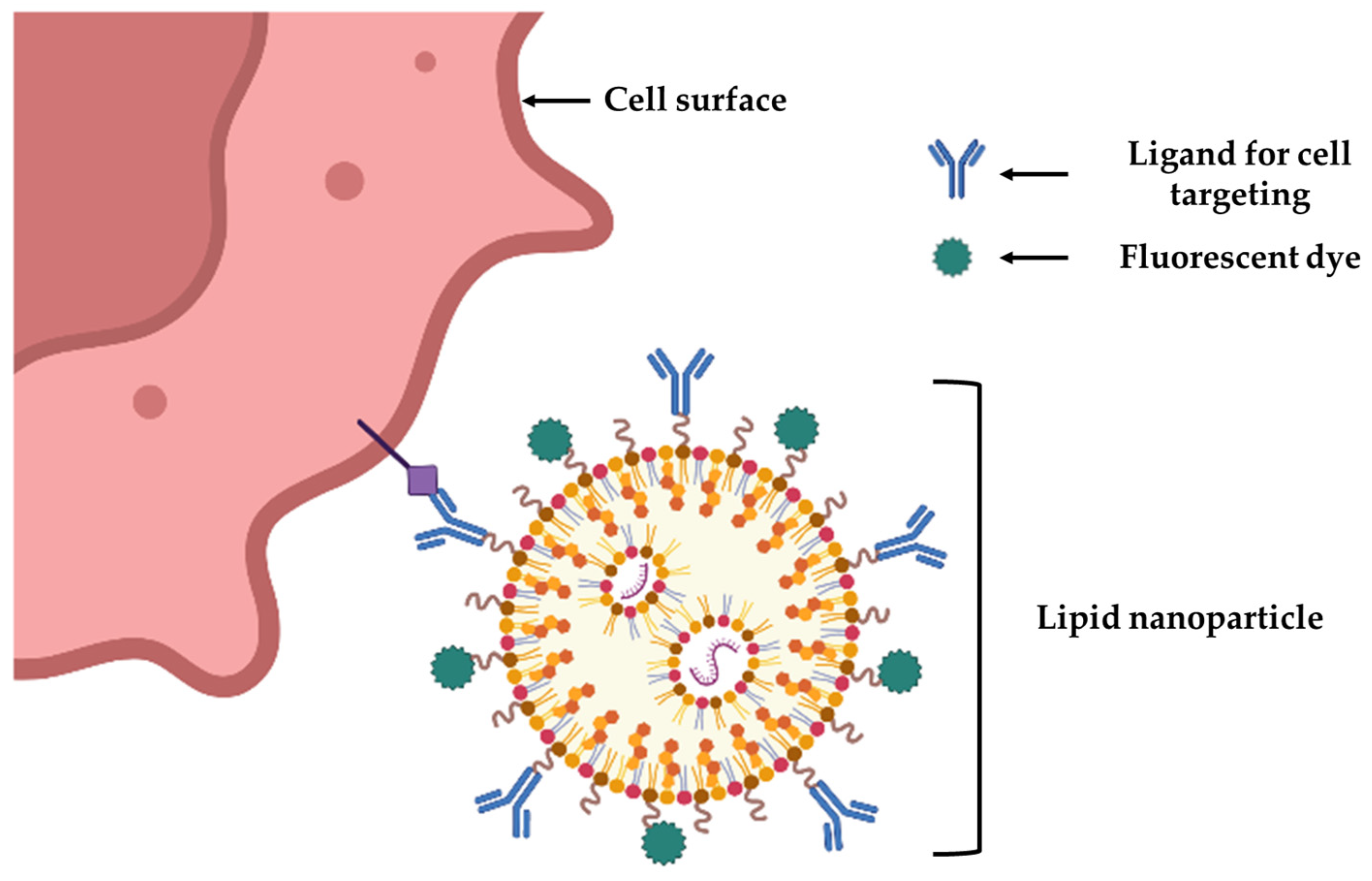 Applbiosci 02 00039 g004