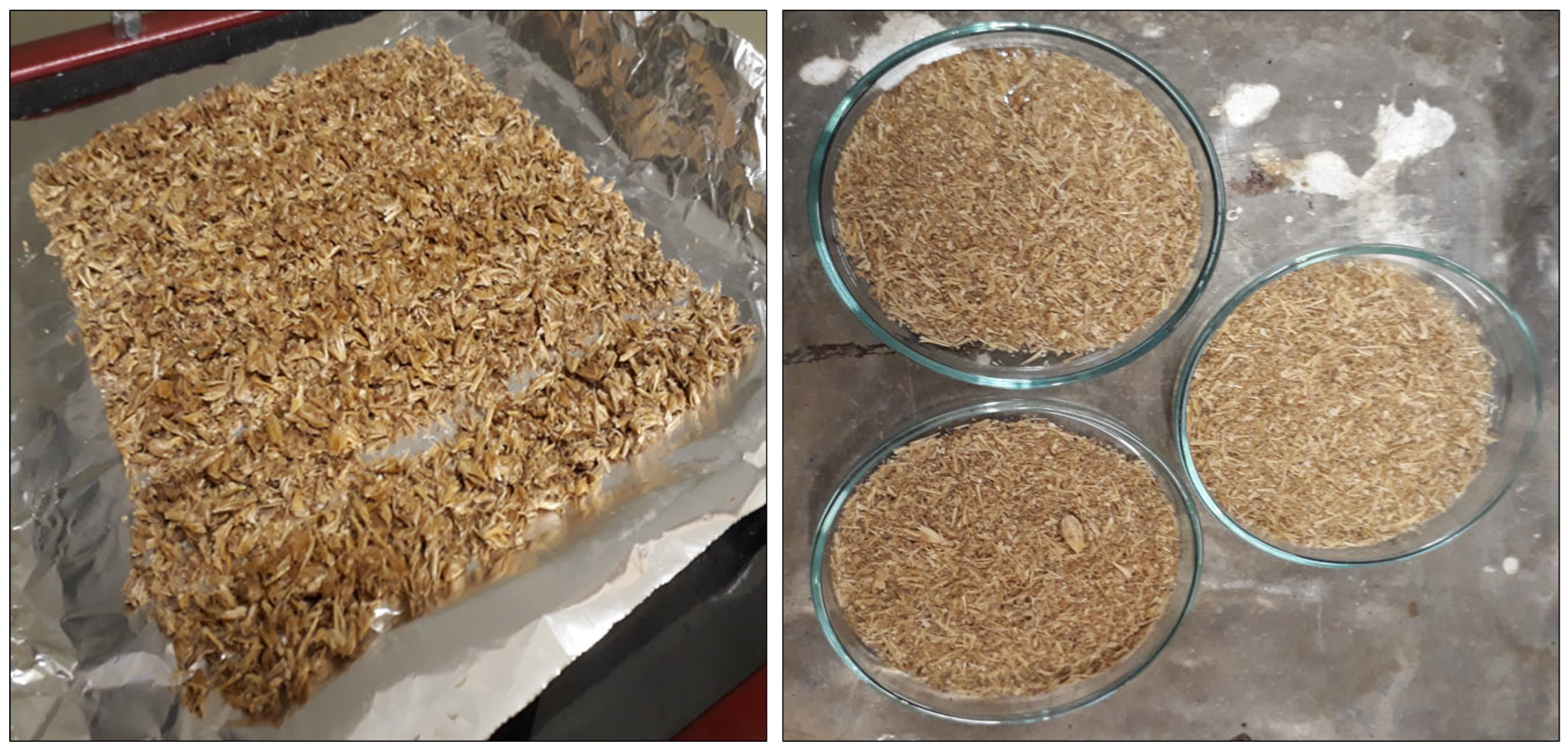 Applbiosci 03 00005 g002