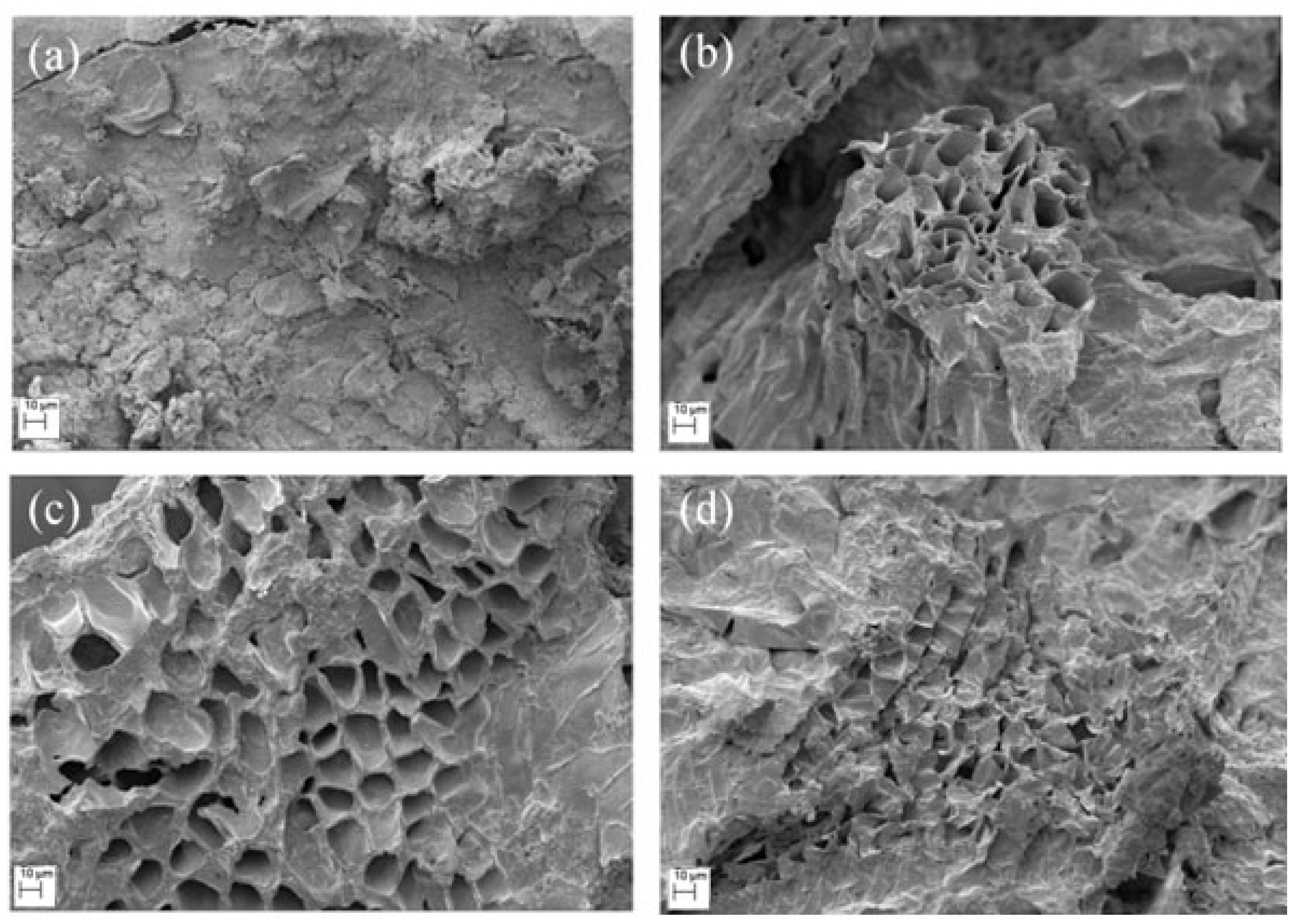 Applbiosci 03 00005 g003
