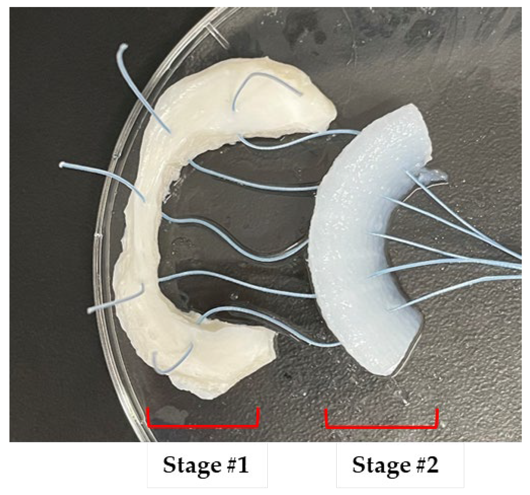 Applbiosci 03 00007 g002