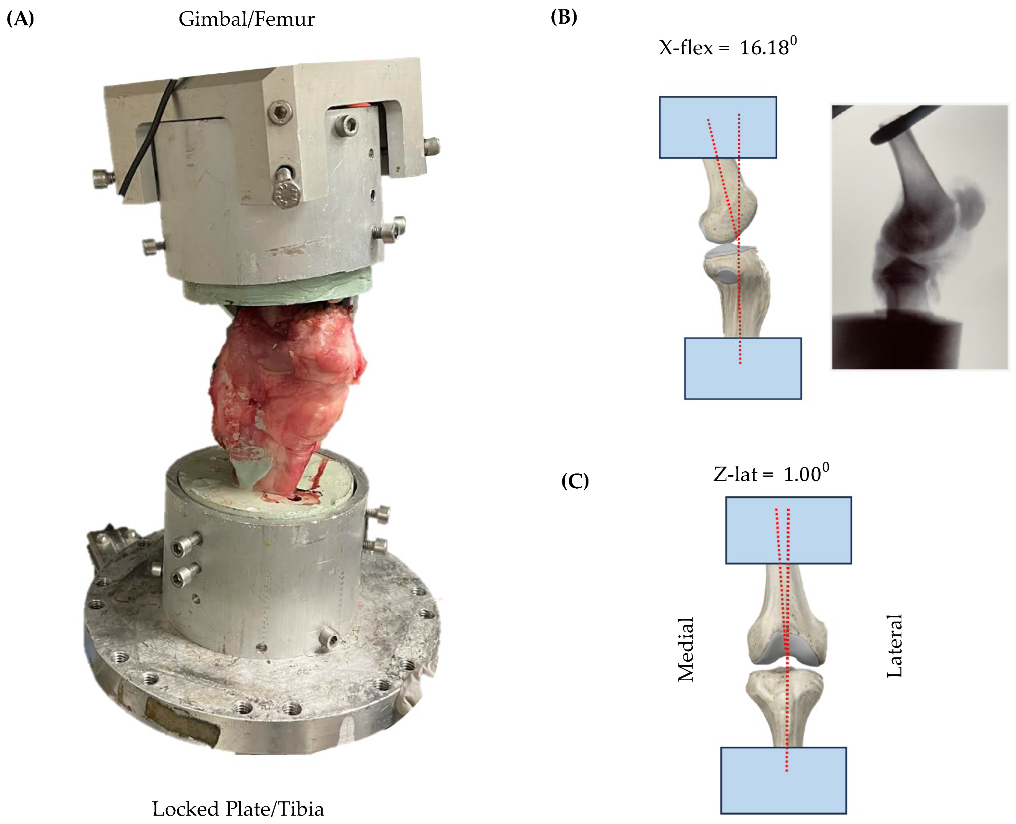Applbiosci 03 00007 g003