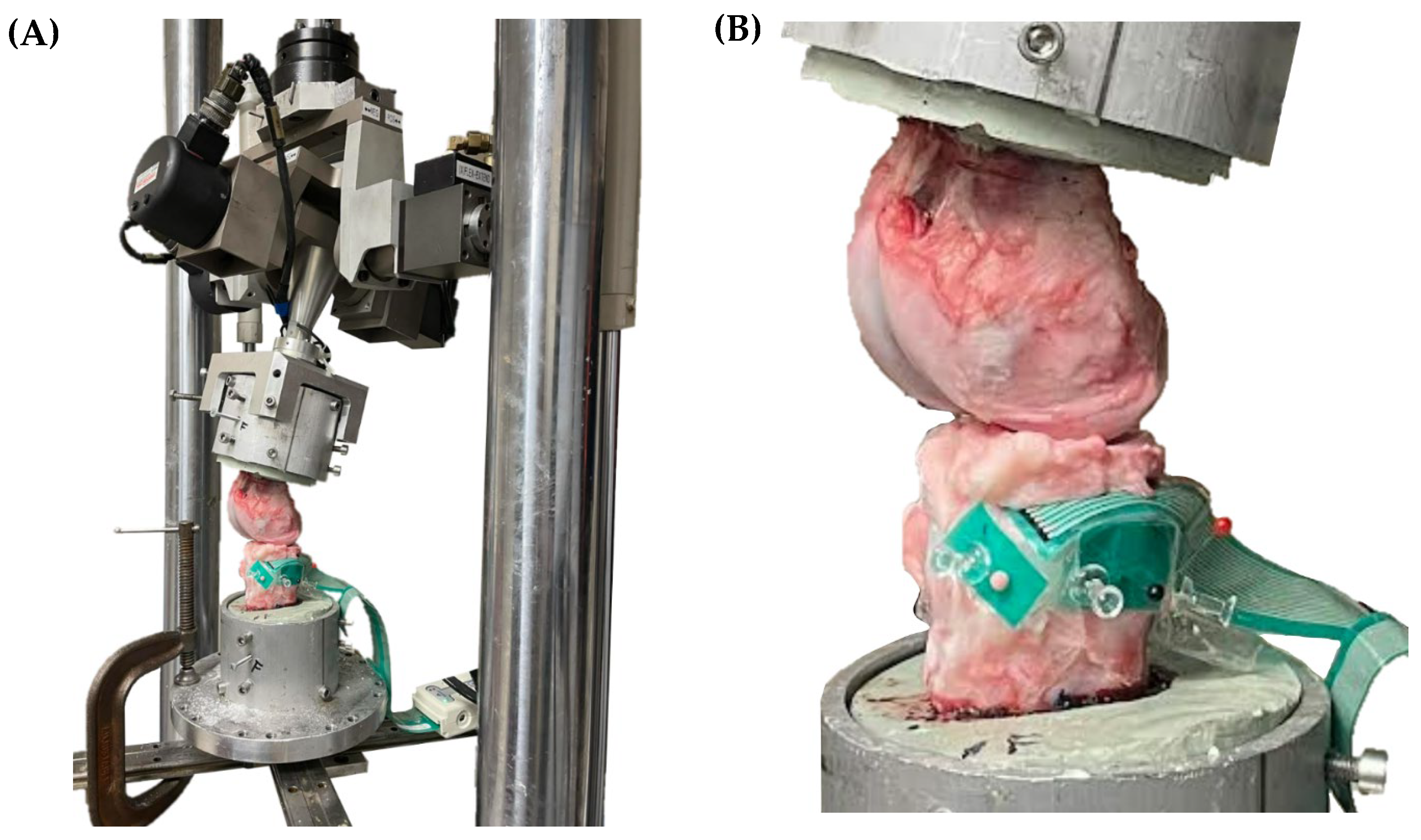 Applbiosci 03 00007 g004
