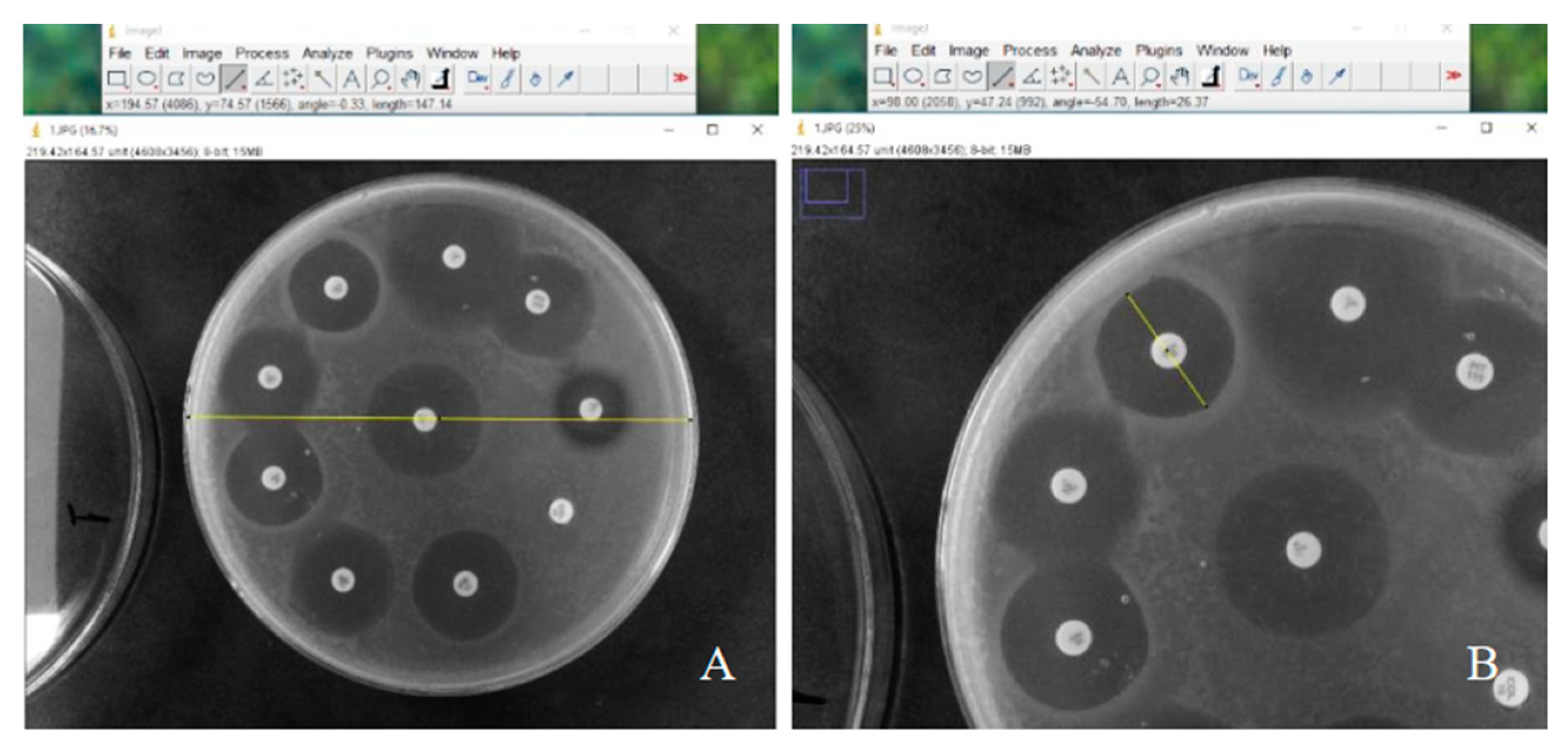 Applbiosci 03 00012 g001