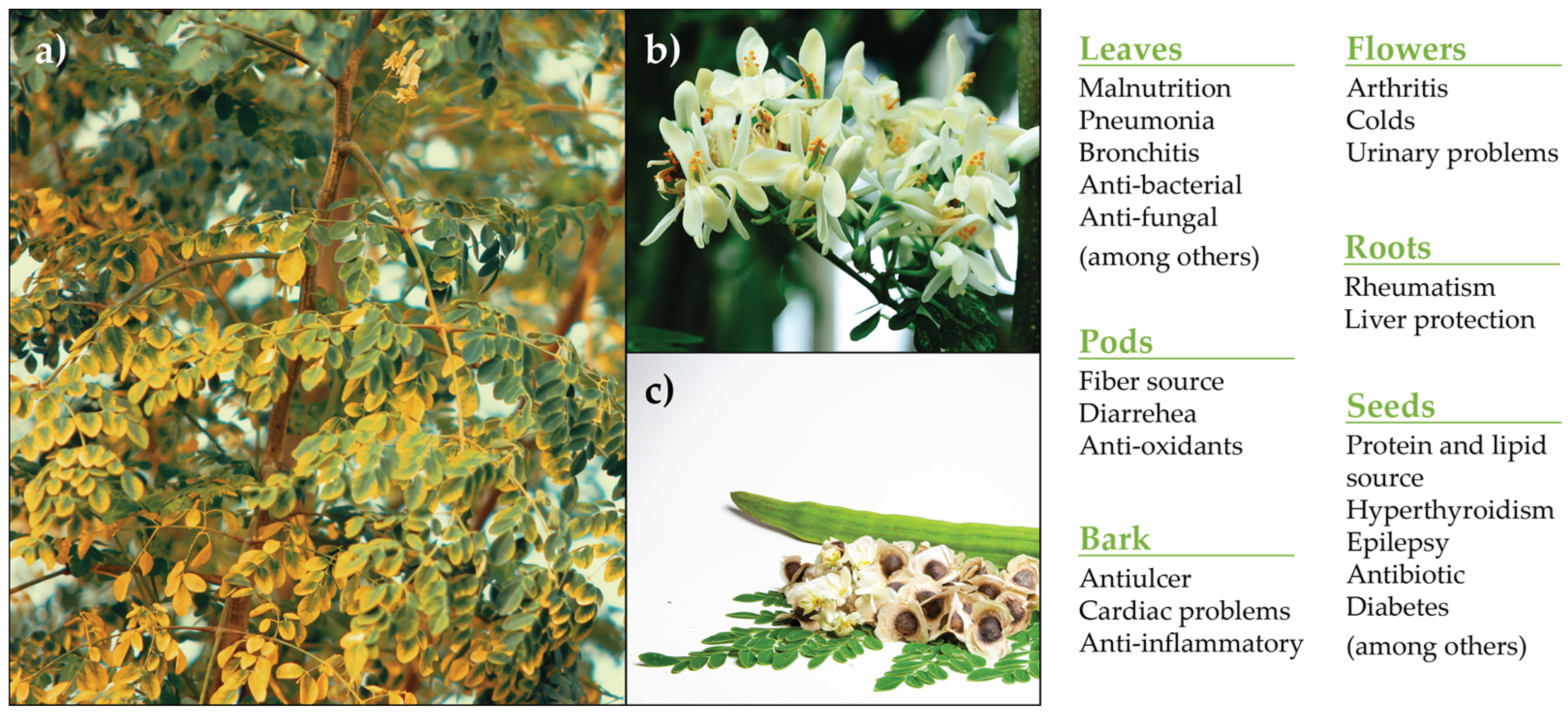 Applbiosci 03 00013 g001
