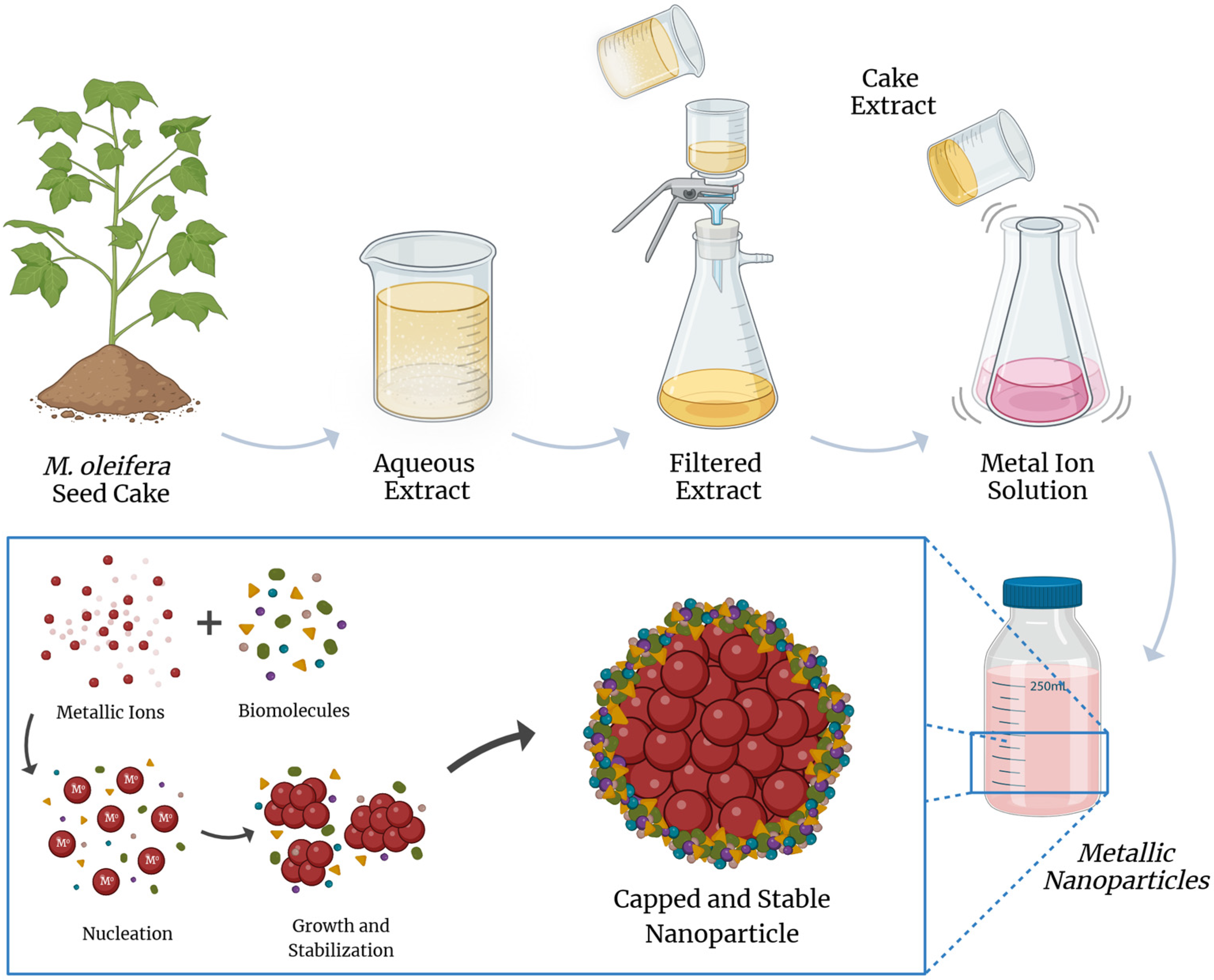 Applbiosci 03 00013 g005