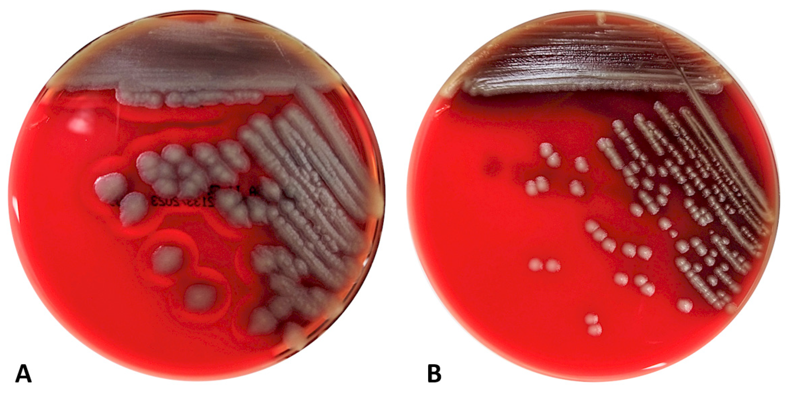 Applbiosci 03 00017 g002