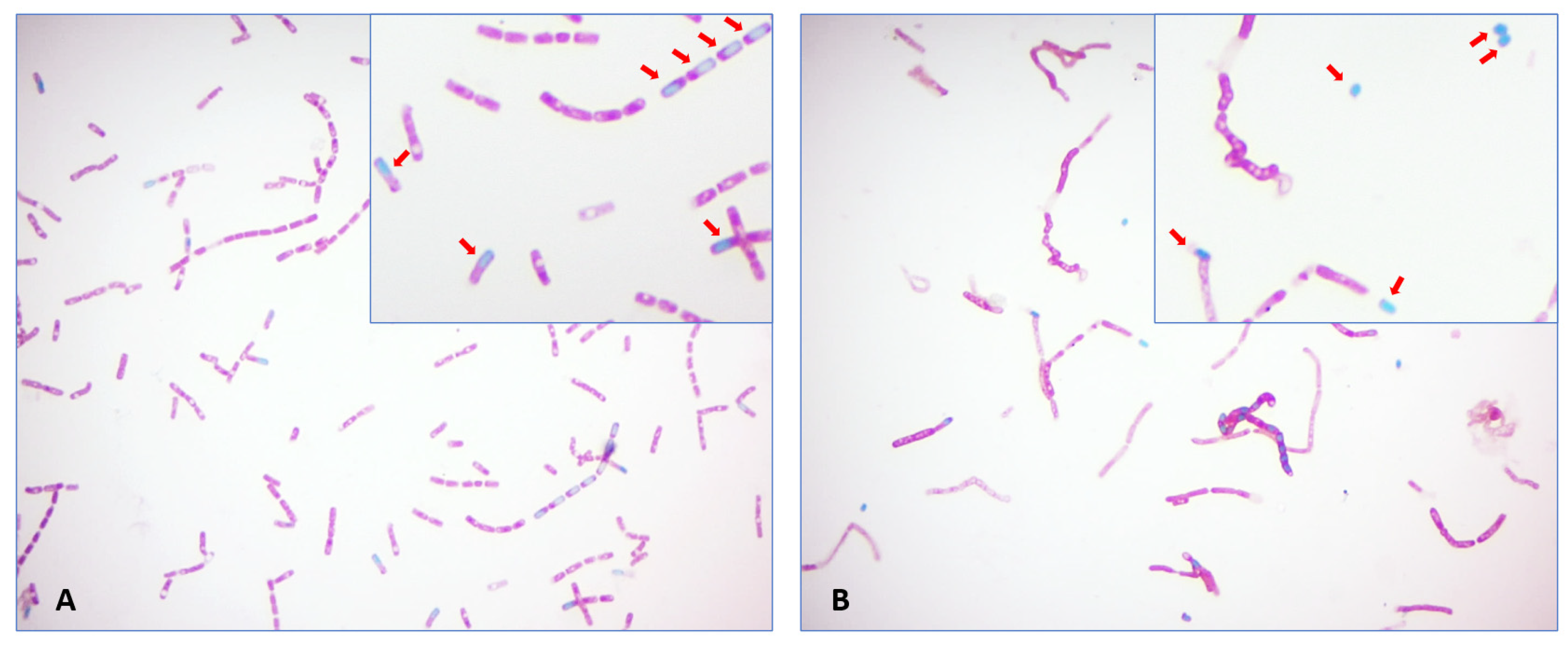 Applbiosci 03 00017 g004
