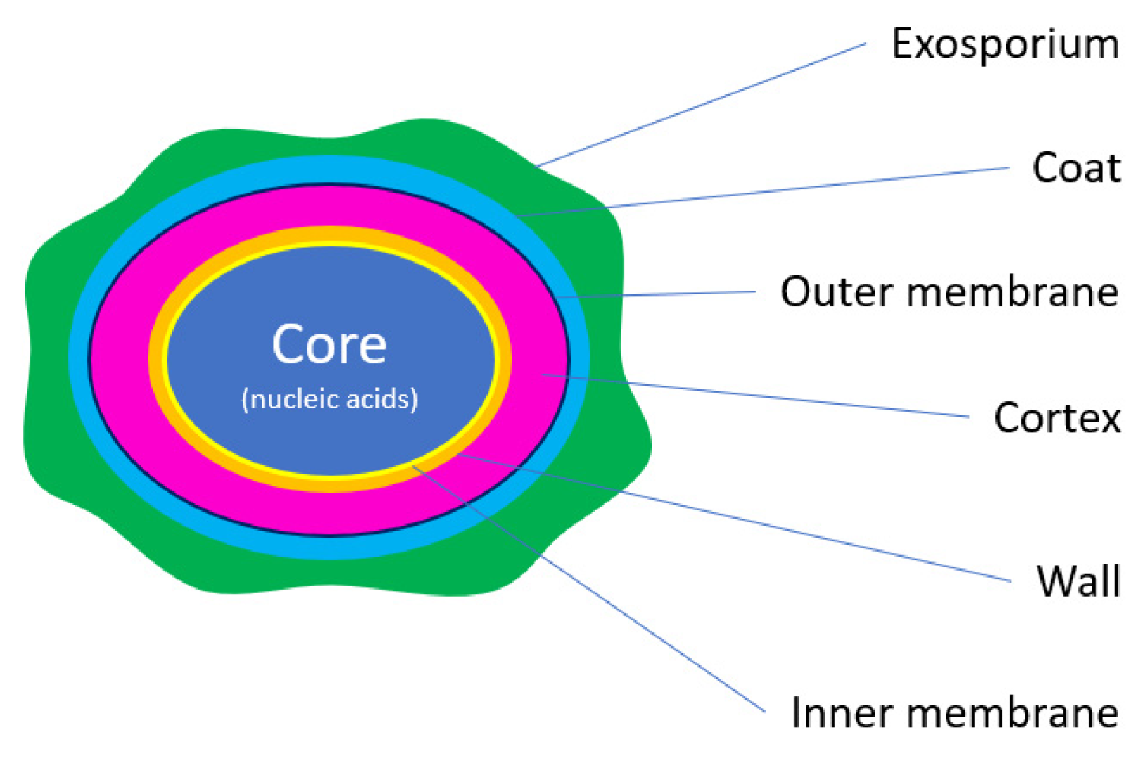 Applbiosci 03 00017 g008
