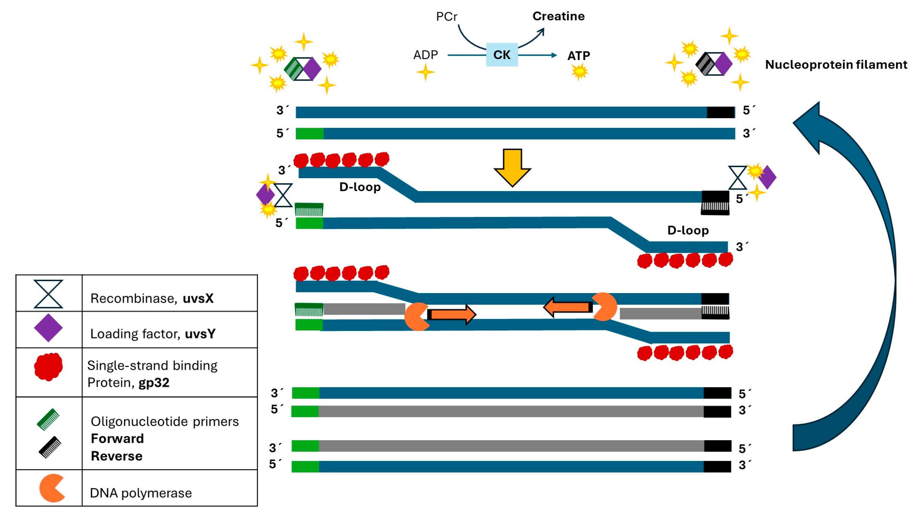 Applbiosci 03 00027 g001