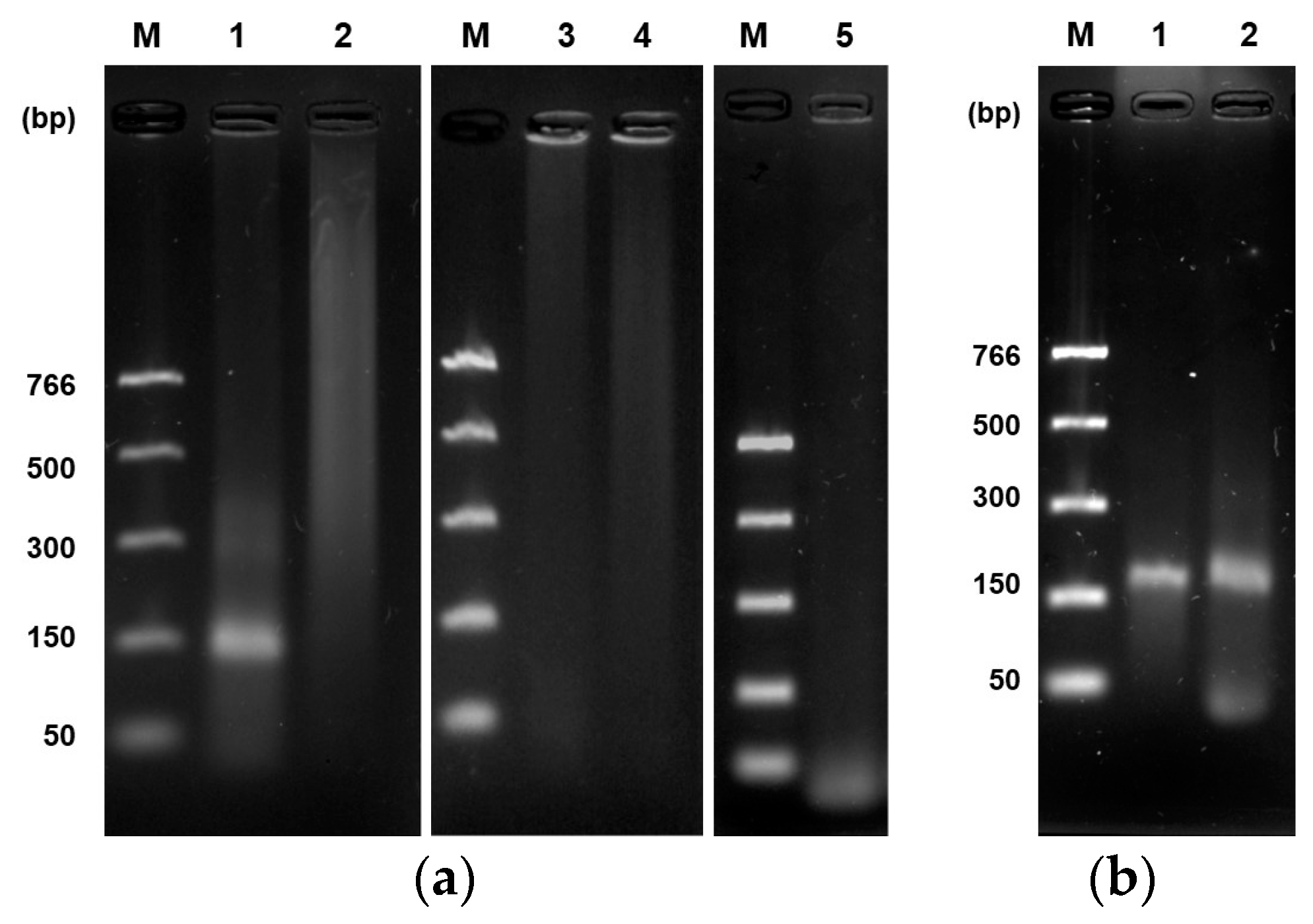 Applbiosci 03 00027 g004
