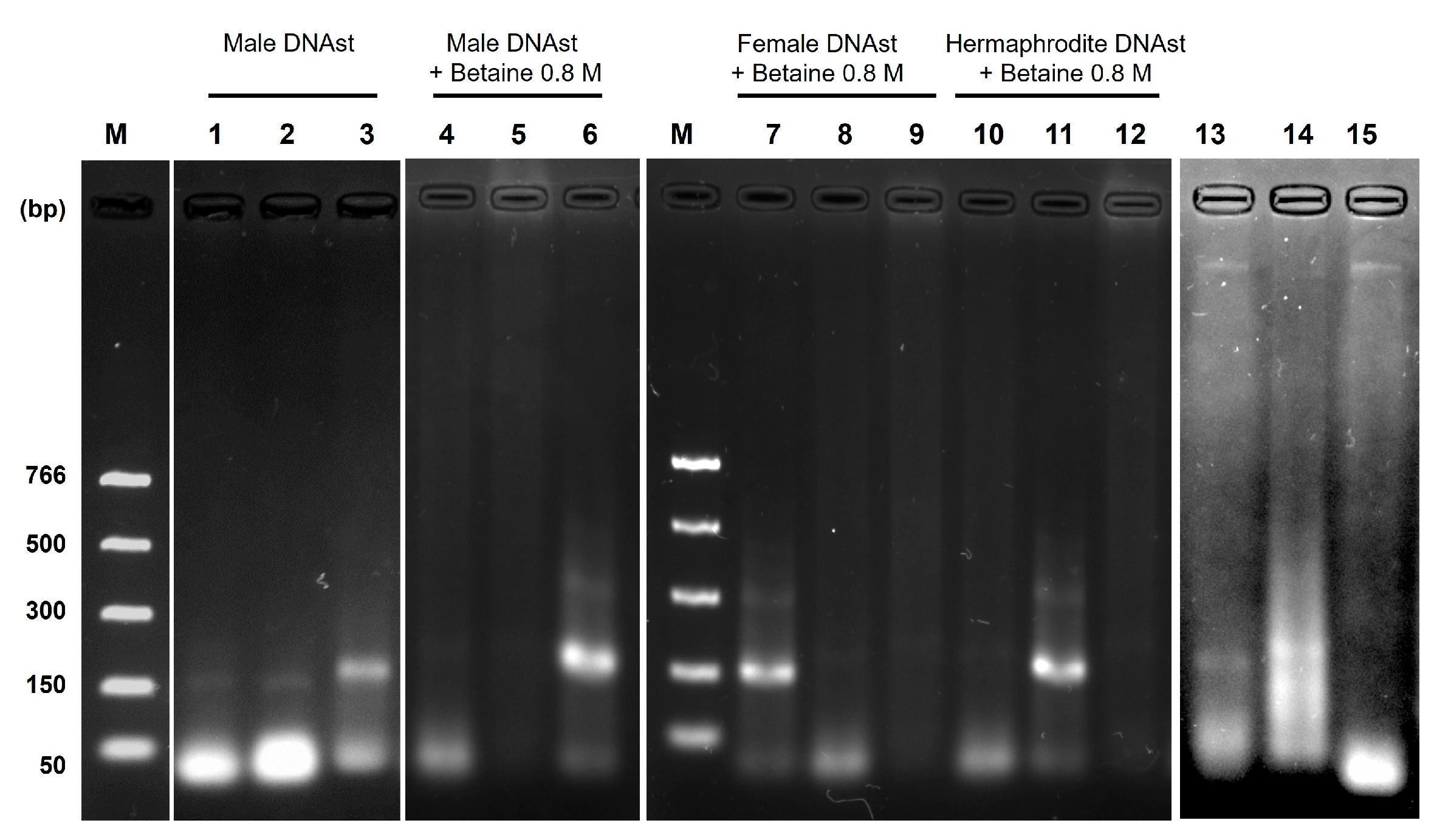 Applbiosci 03 00027 g005