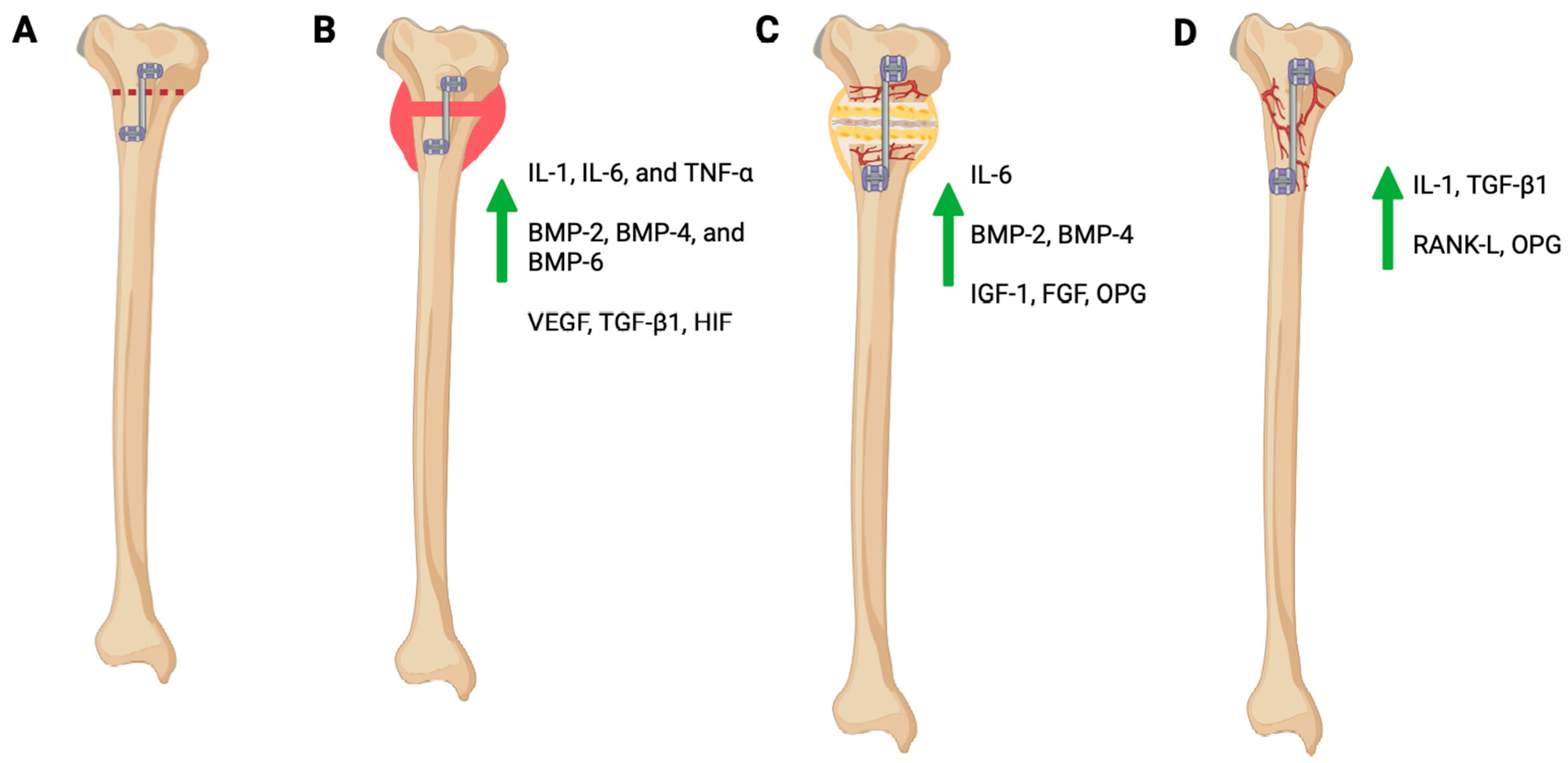 Applbiosci 03 00032 g001