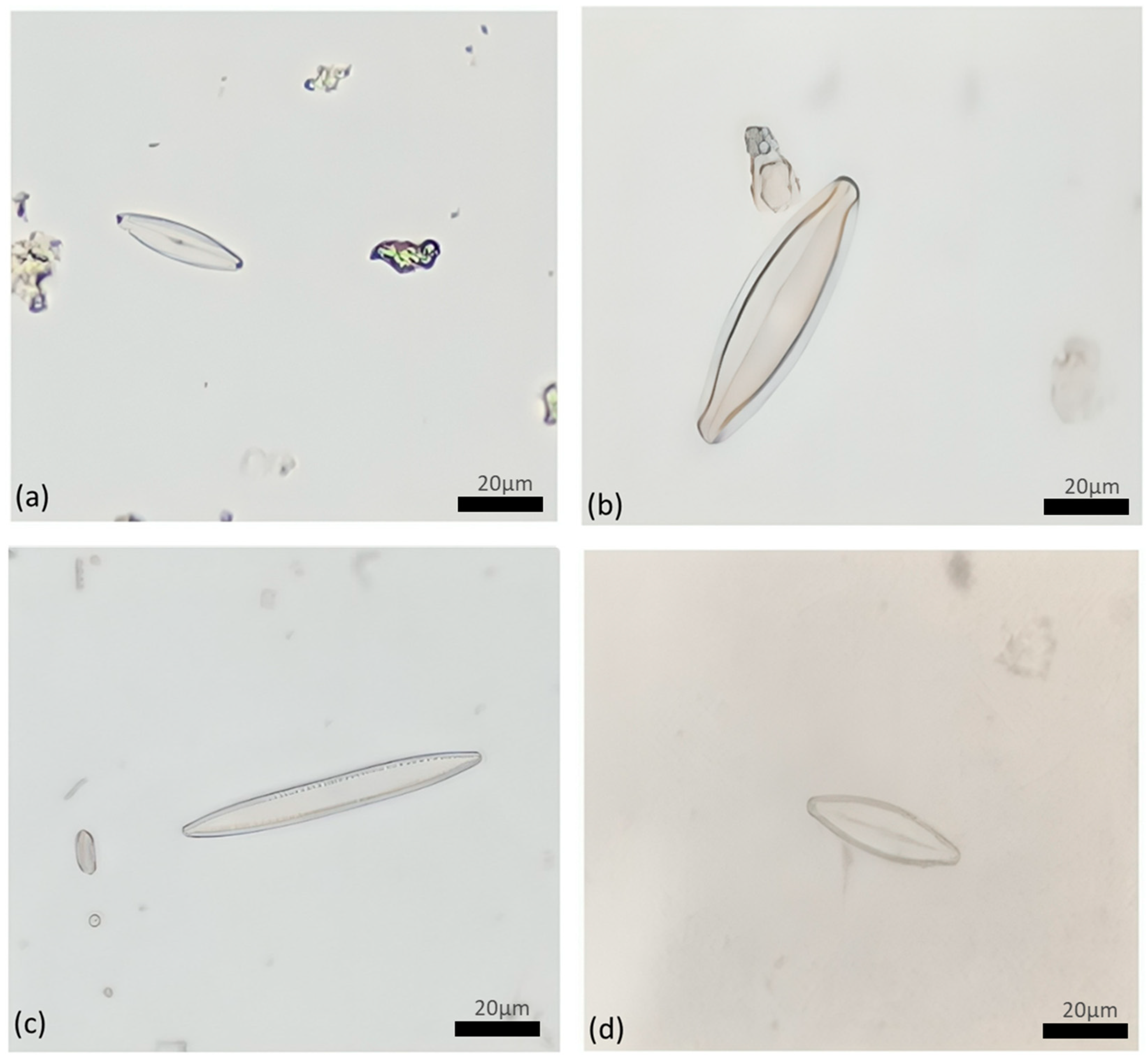 Applbiosci 03 00033 g005 Applbiosci 03 00033 g005