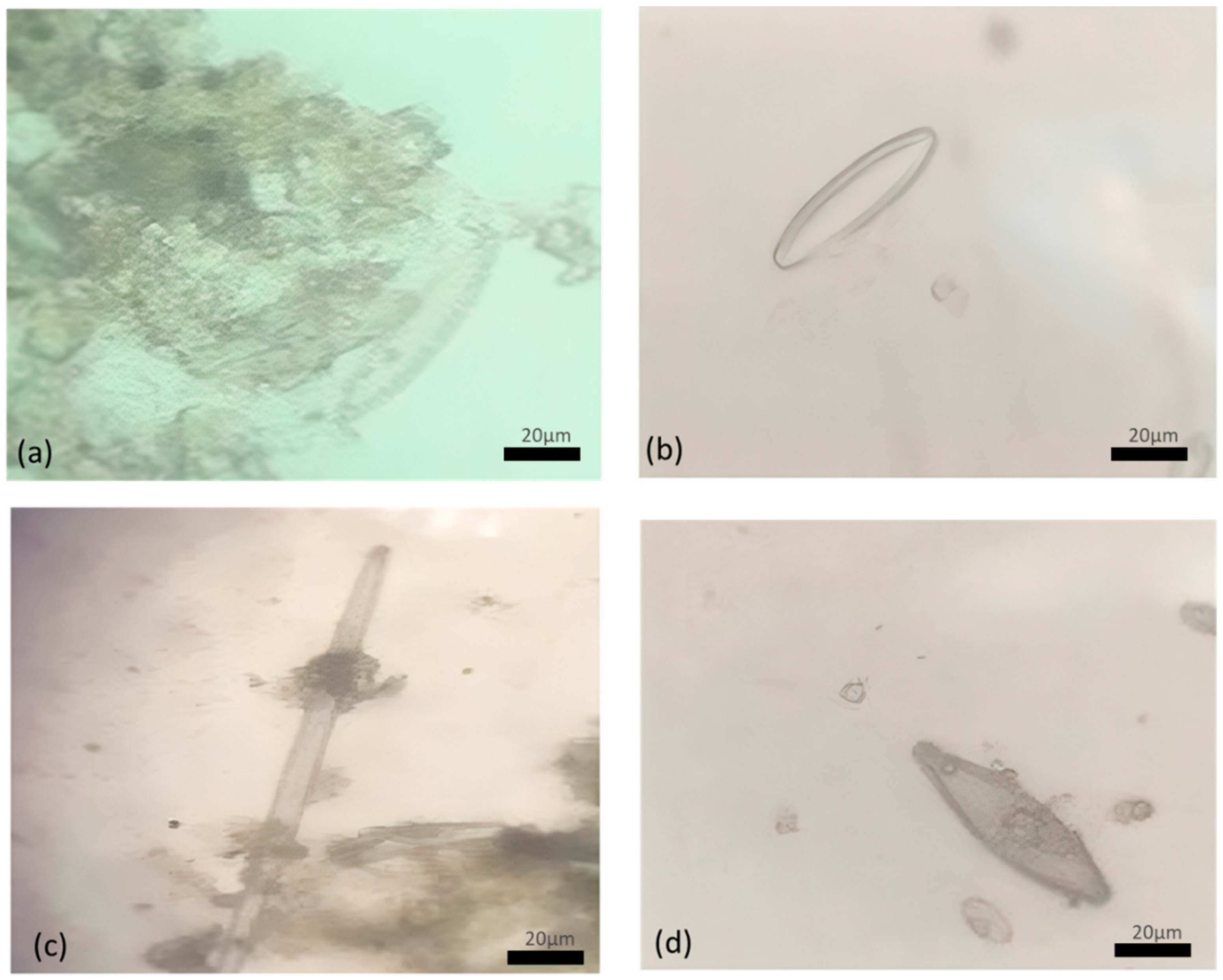 Applbiosci 03 00033 g006 Applbiosci 03 00033 g006